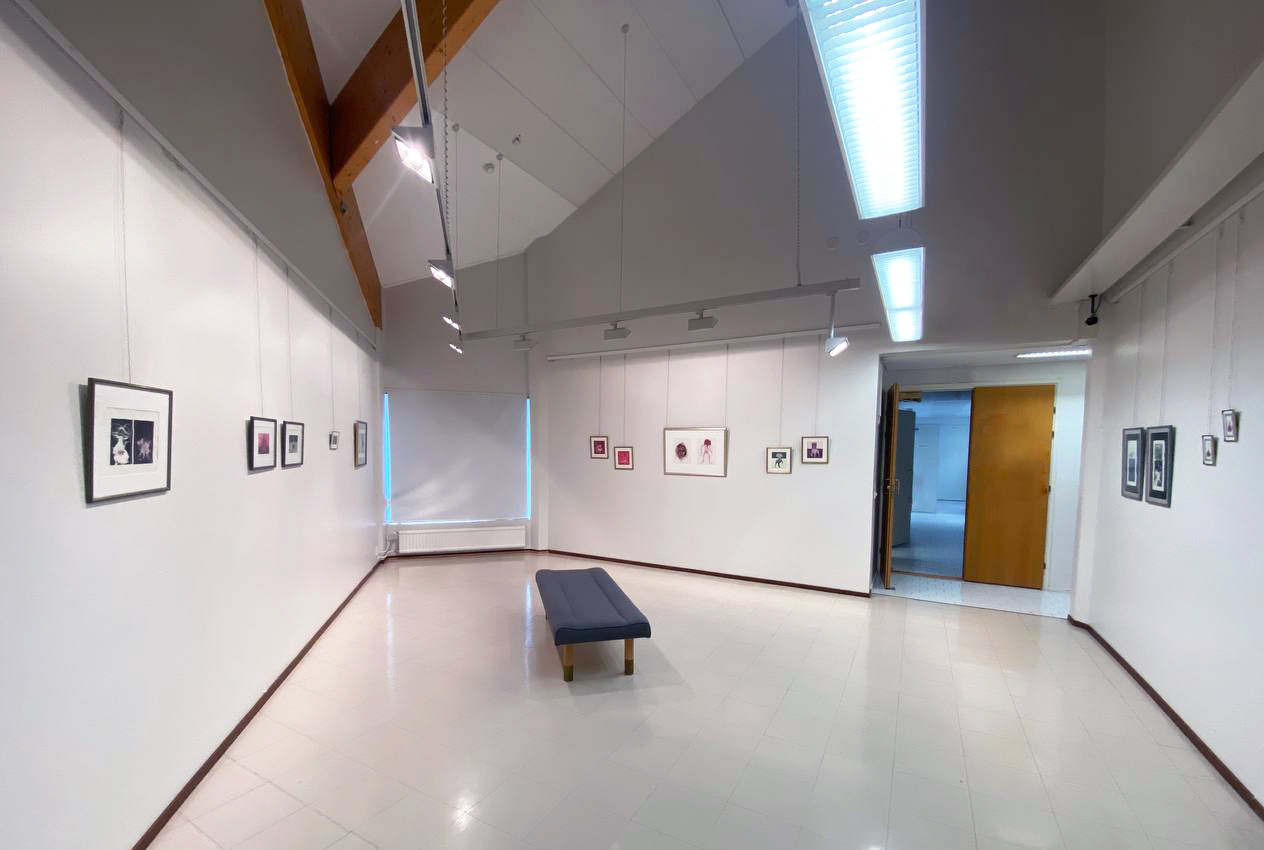 Exhibition view, Poikilo (Kouvola, 2024)