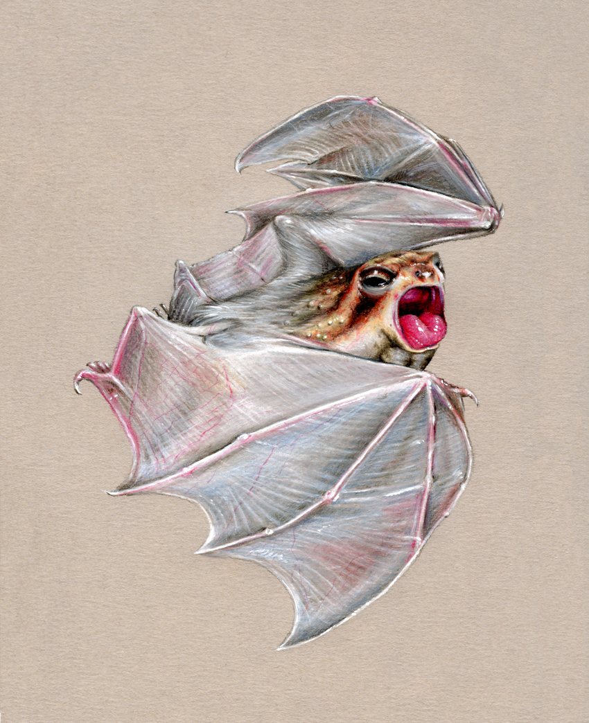 𝘔𝘢𝘤𝘳𝘰𝘥𝘦𝘳𝘮𝘢 𝘳𝘰𝘴𝘦𝘪 (2024), 10 x 13cm