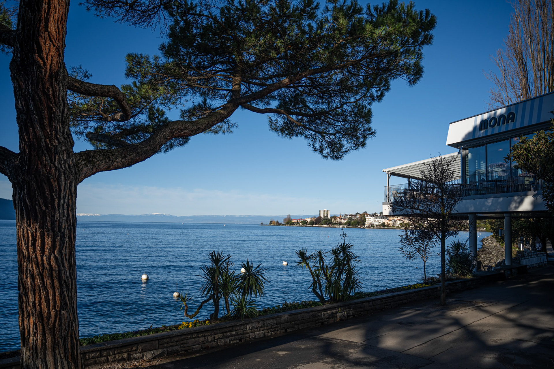 Leman