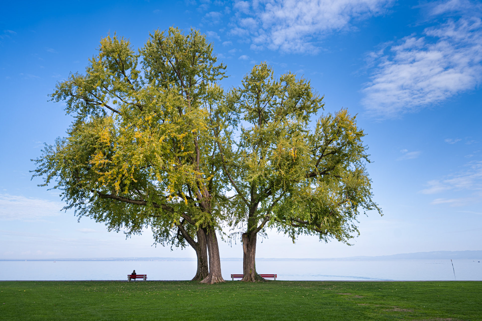 At the shore of Lake Constance in Arbon