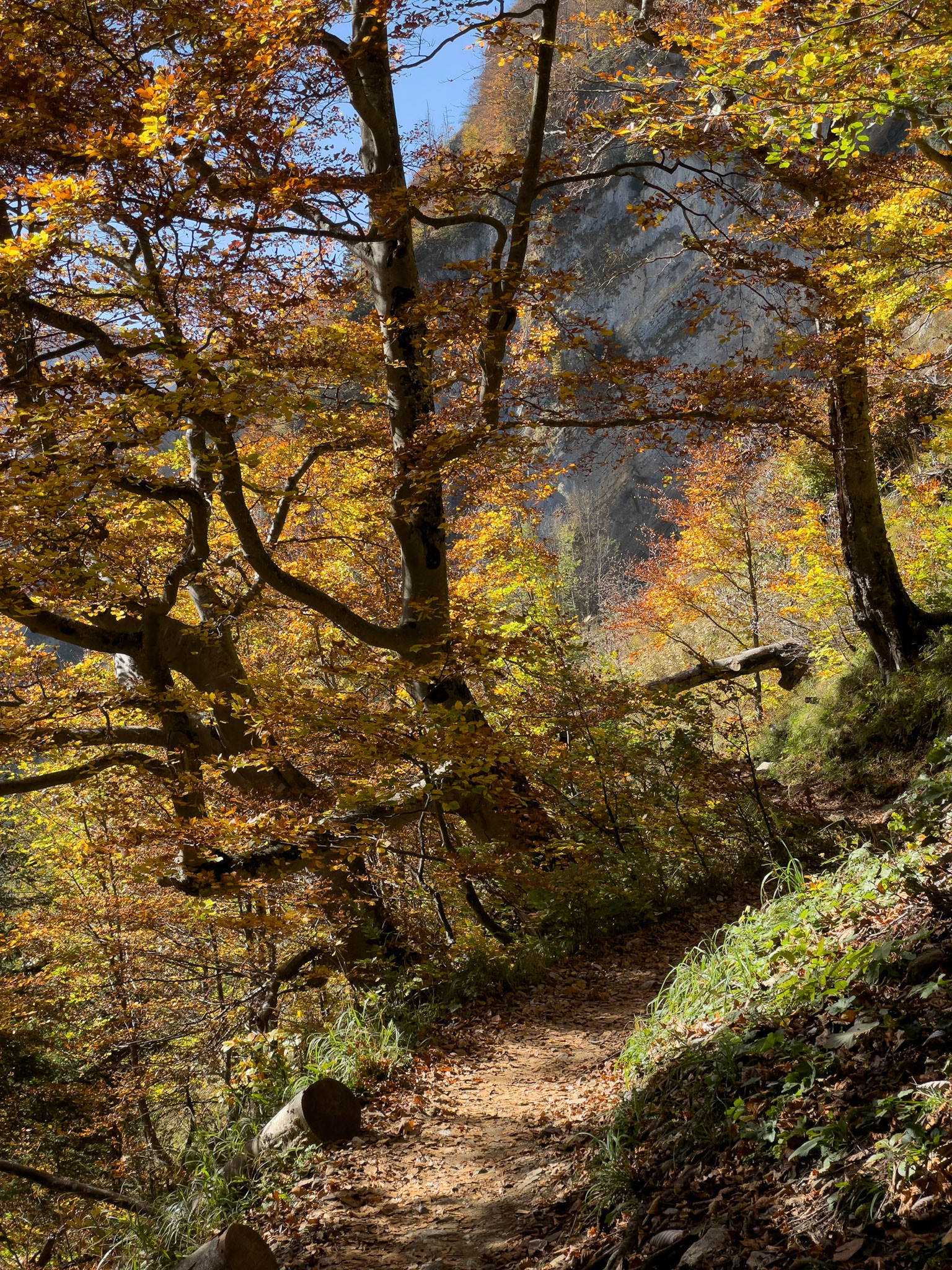 path towards Seealpsee