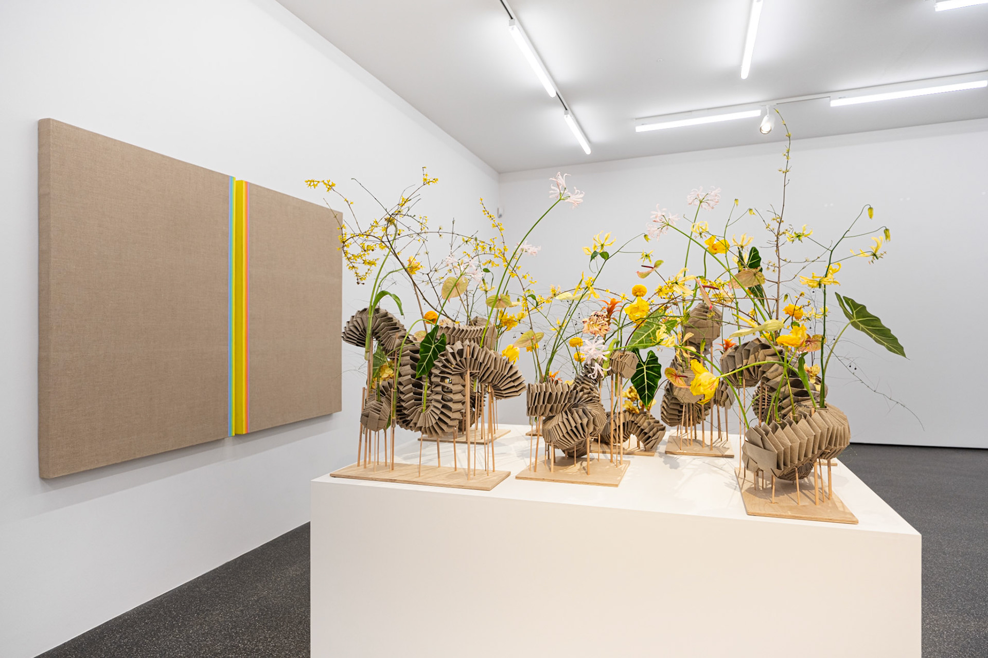 Jean Pfaff / Nicolaus Peters