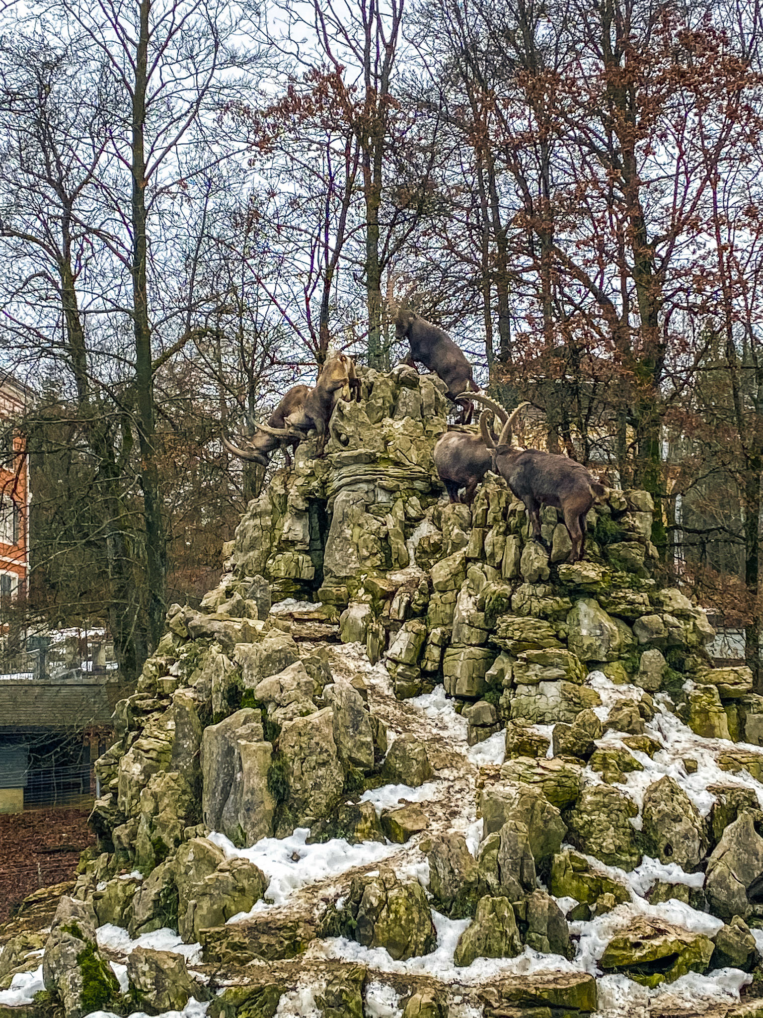 Zoo du Bois du Petit-Château