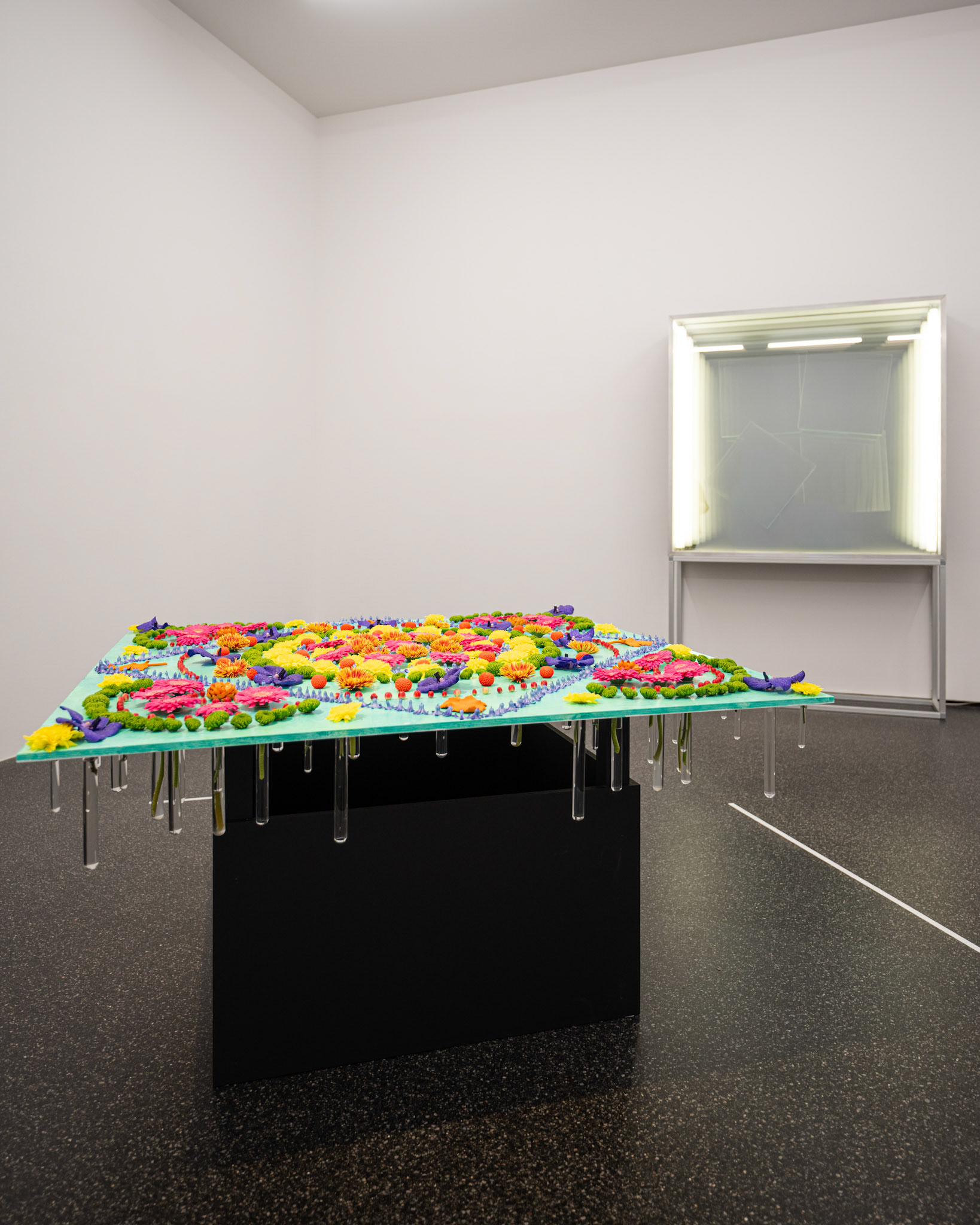 Christian Megert / Heidi Bisang and Andrea Lehmann