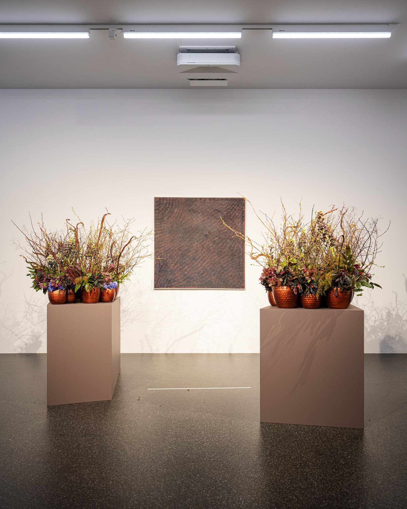 Gianfredo Camesi / Marianne De Tomasi