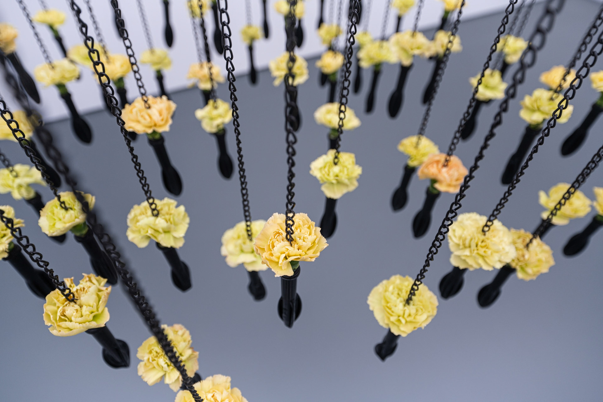 Richard Paul Lohse / Peter Schwitter