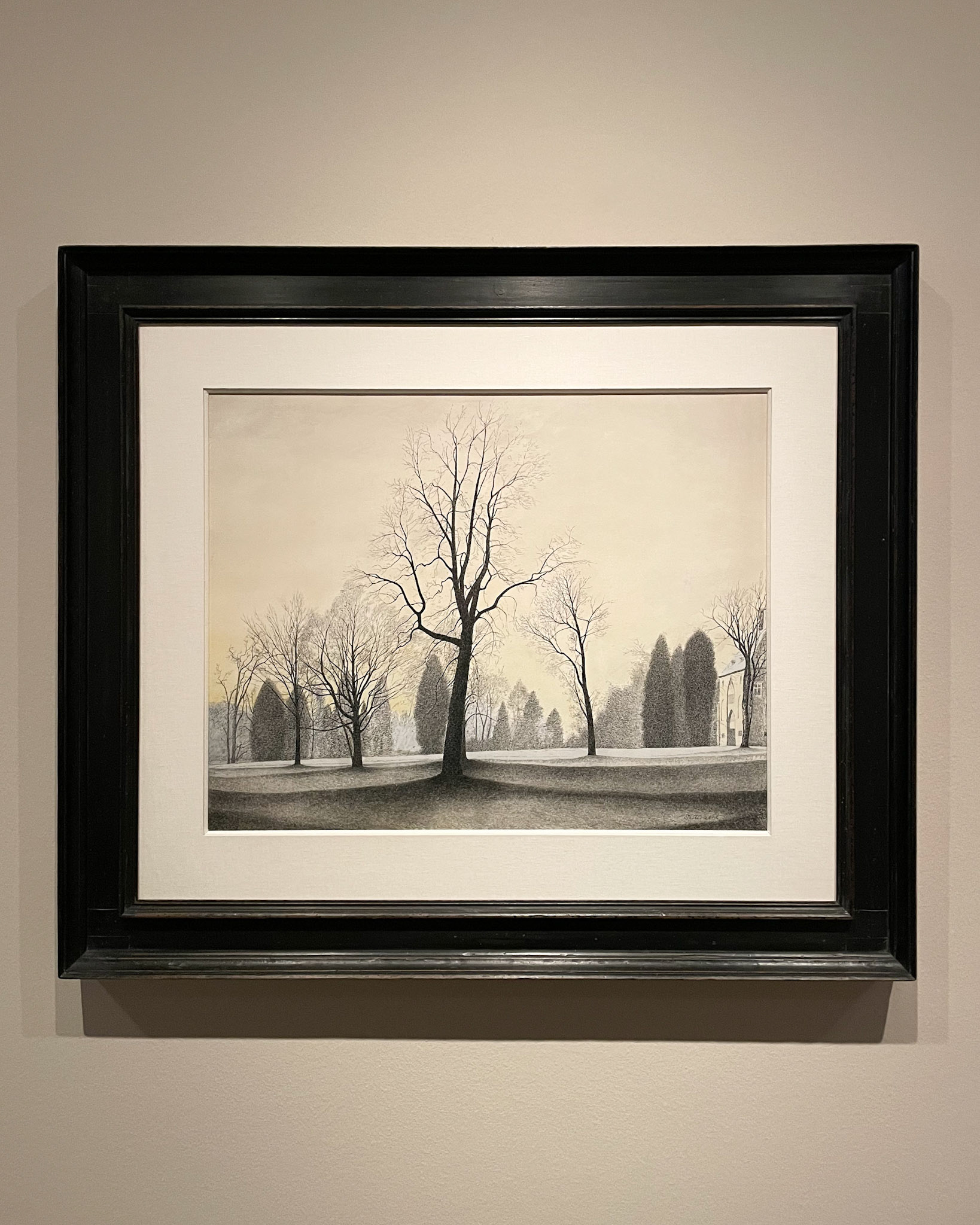 Trees, Early Contemplations