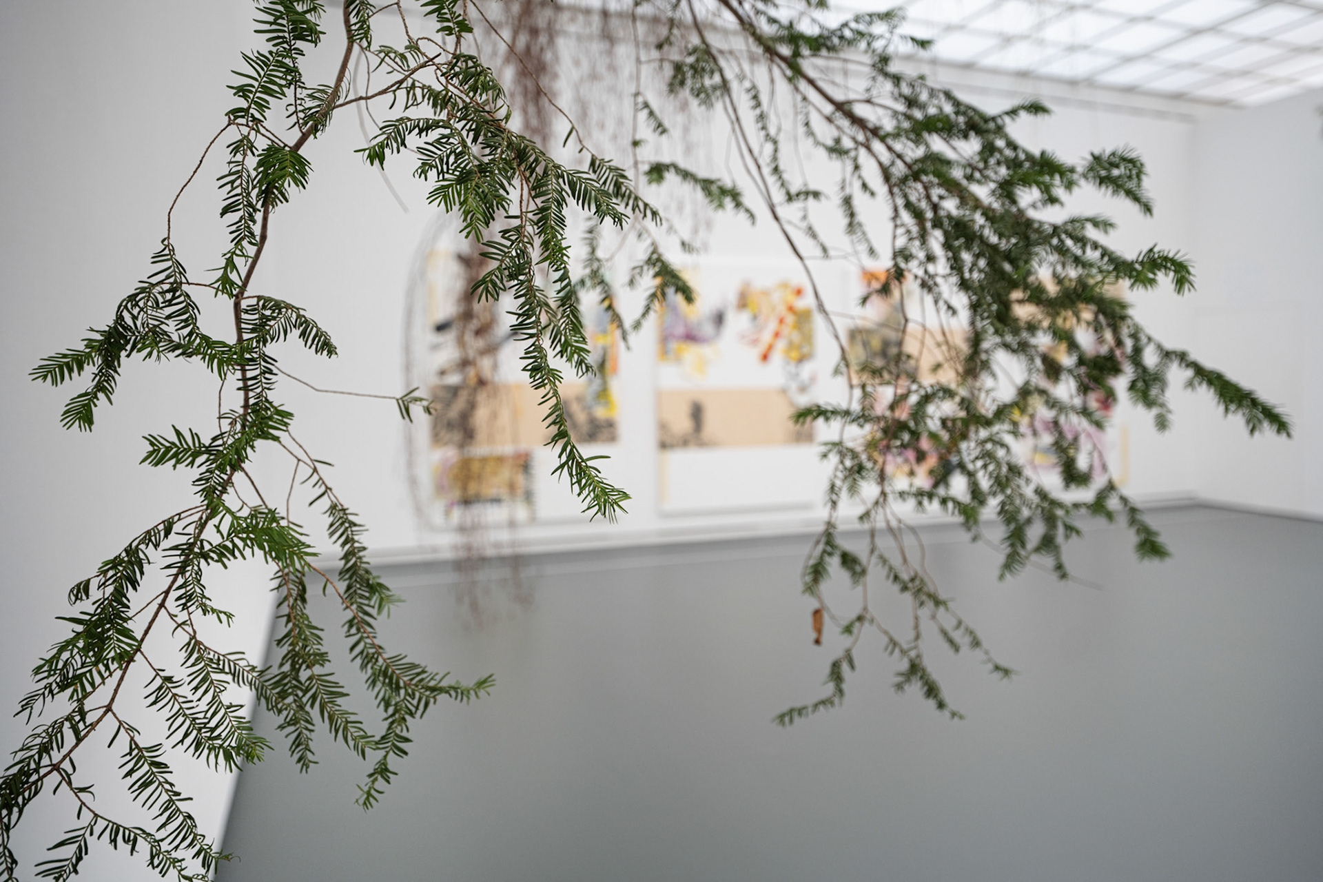 Pia Fries / Evelyn Kreb