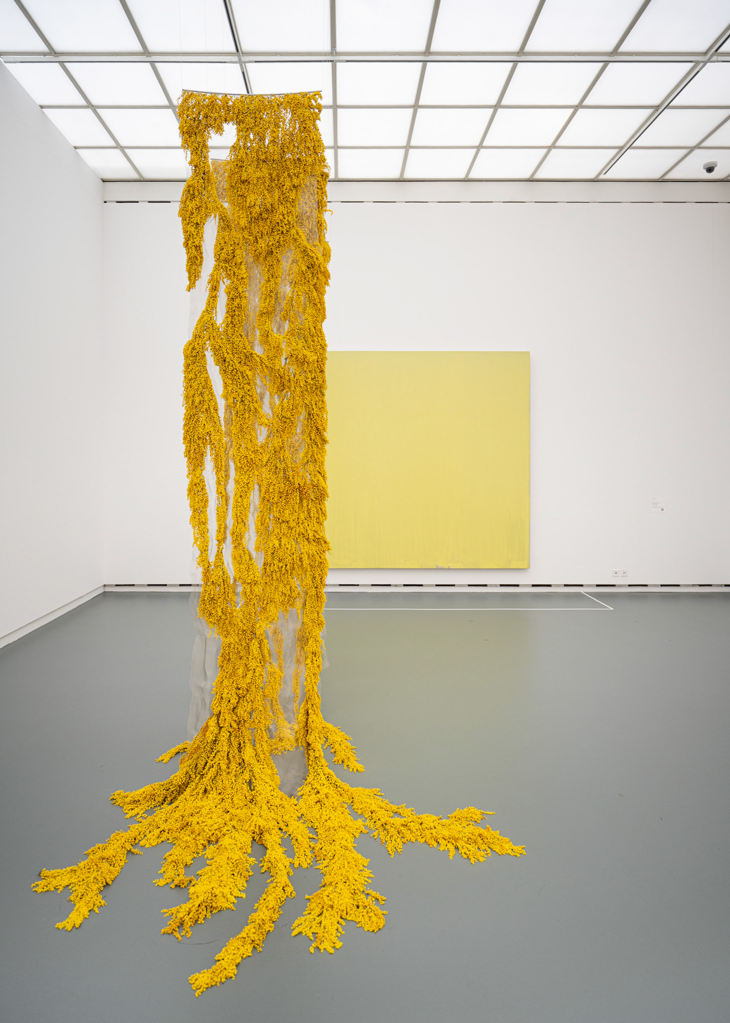 Joseph Marioni / Samantha Bühler