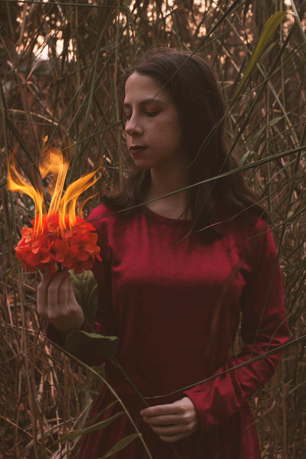 Flaming Flower