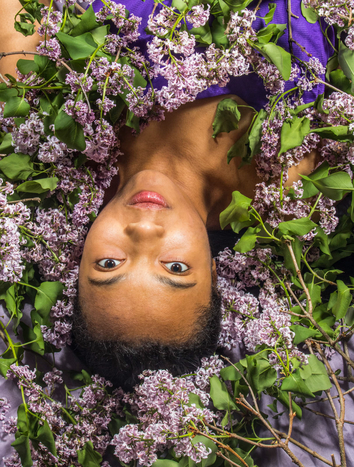 Lilacs 