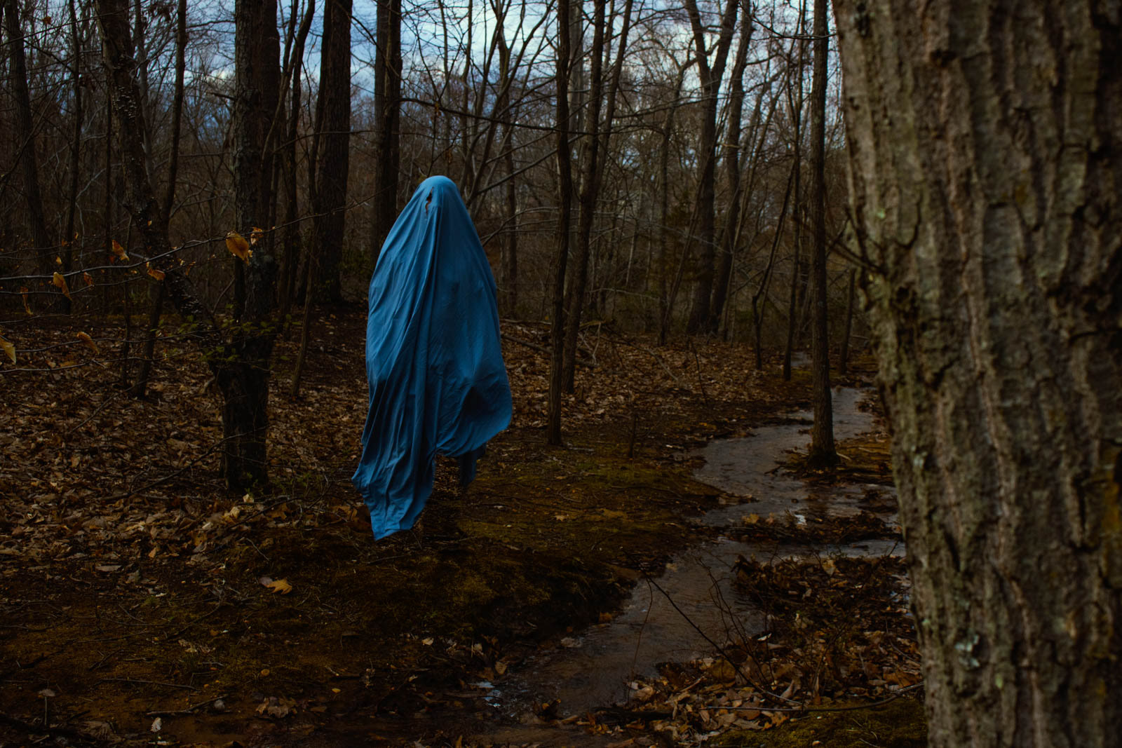 Forest Ghost