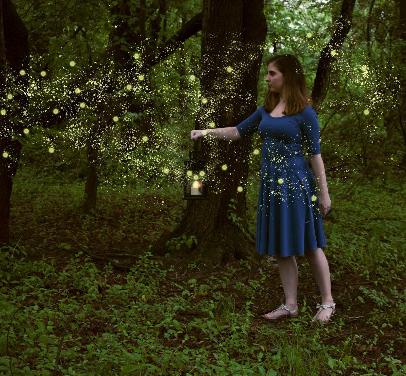 Dancing Lights