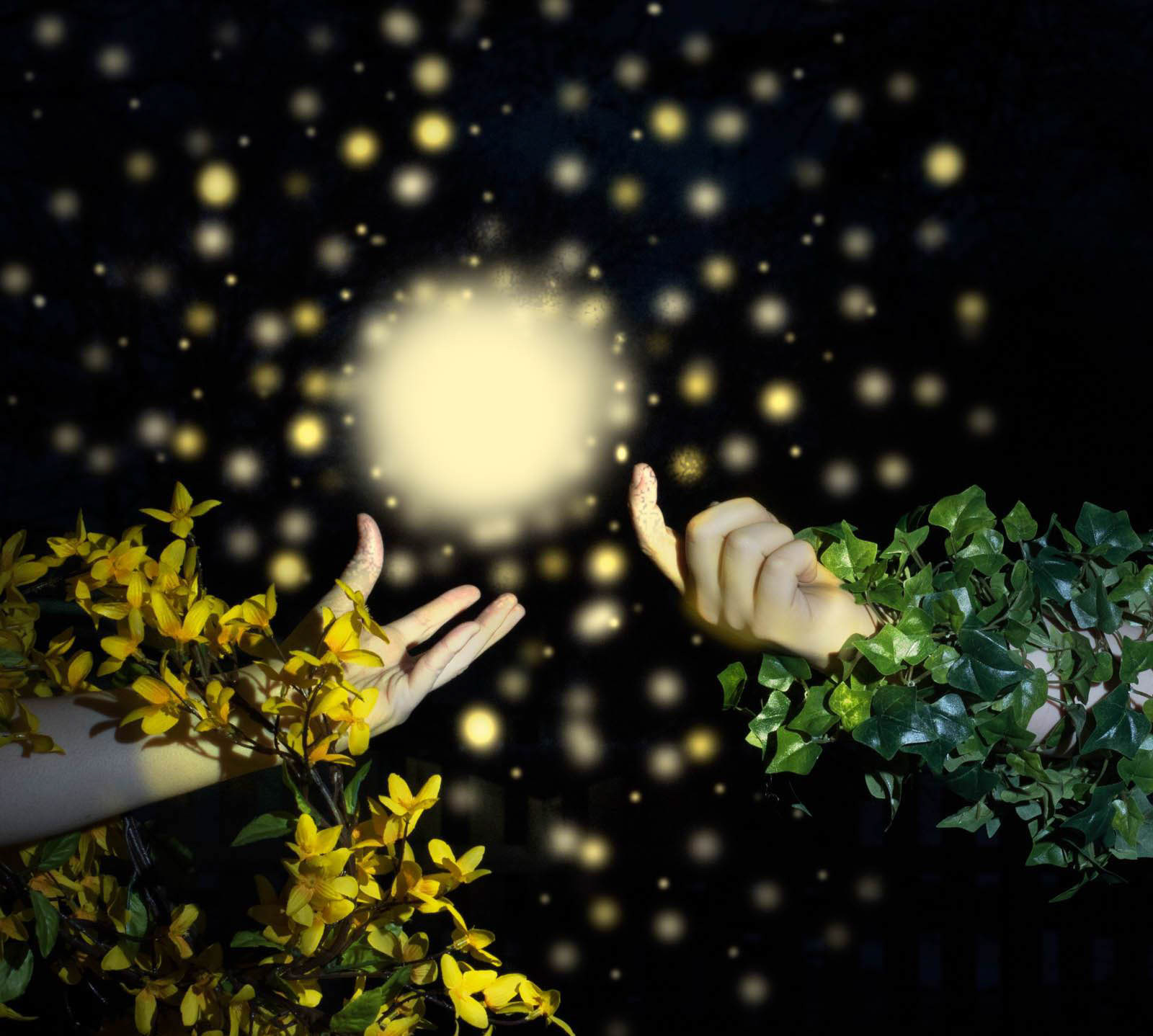 Hands Calling the Light