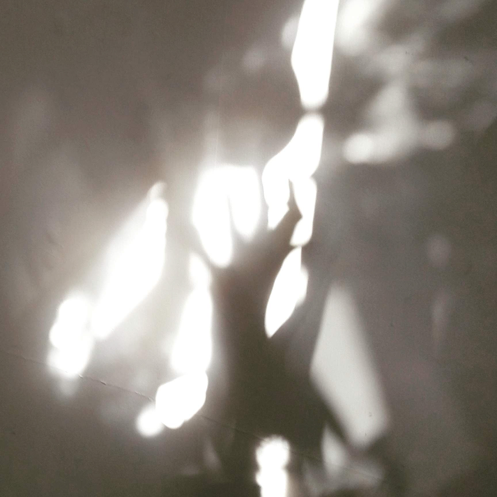 Hand