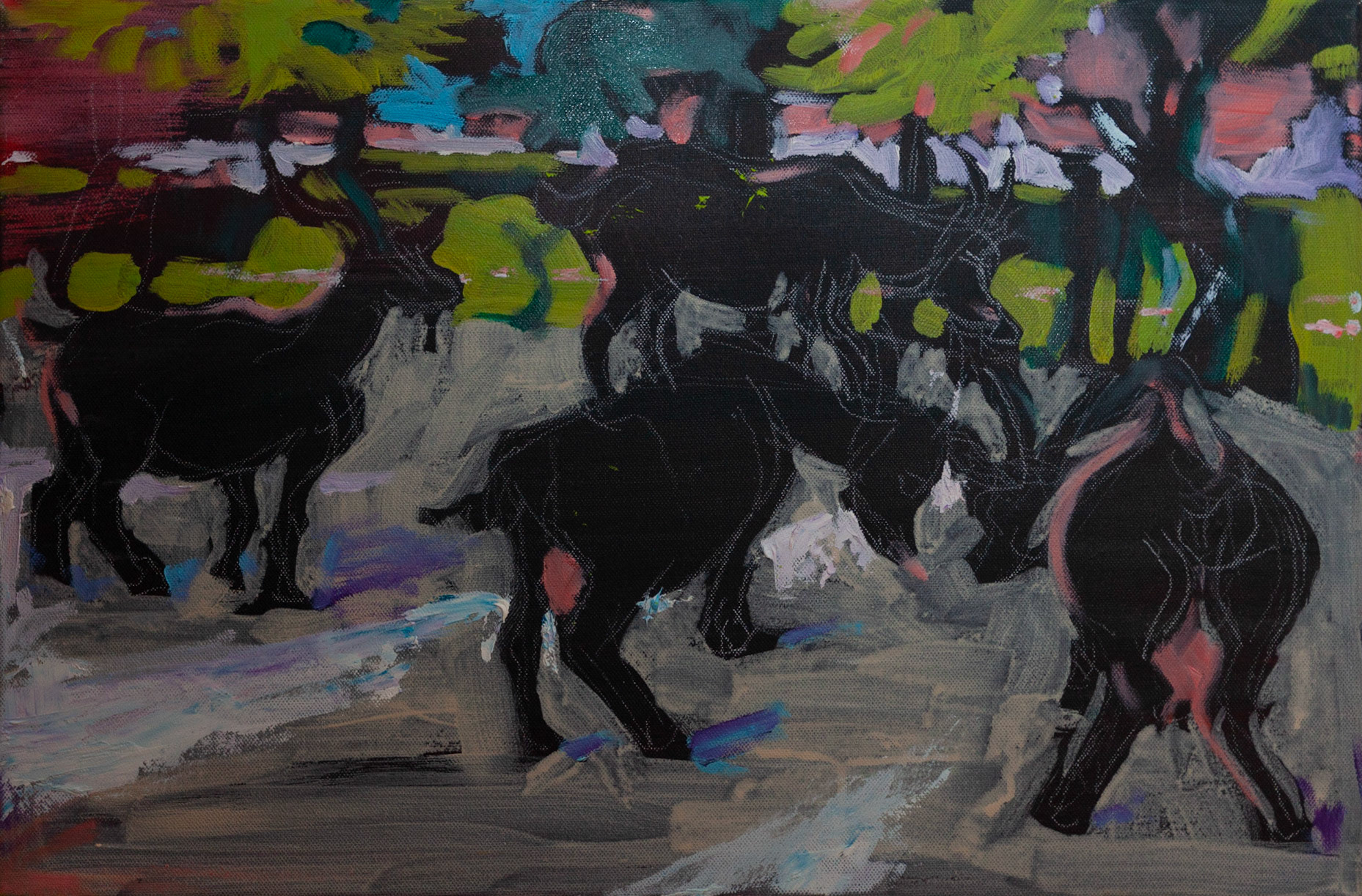 Scwarze Ziegen, 40 x 60 cm, Öl auf Leinwand