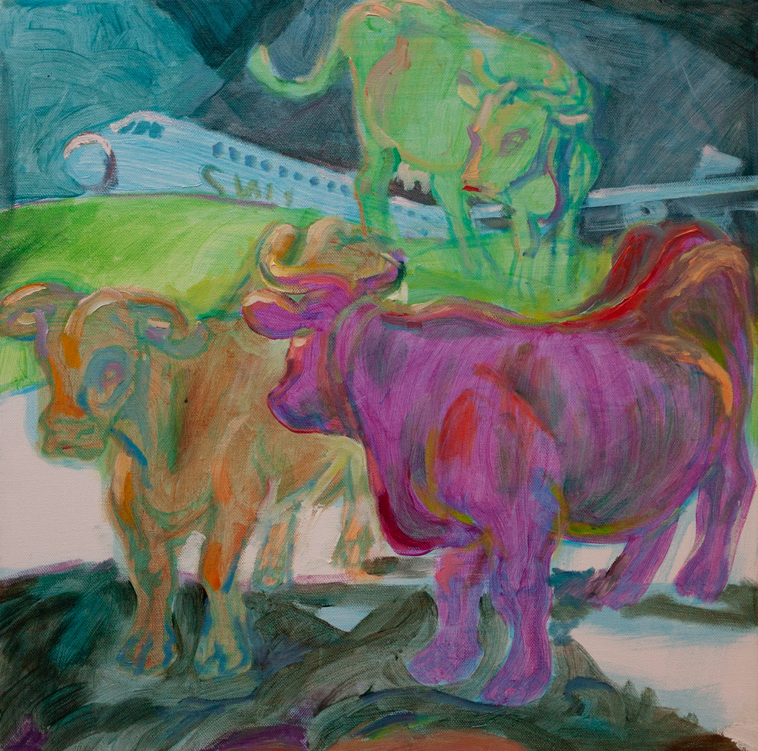 Swiss, 50 x 50 cm, oil on canvas