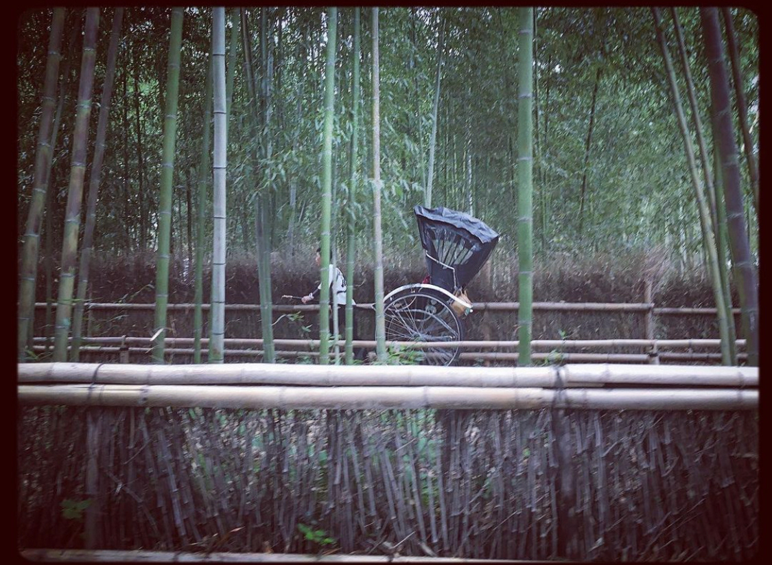 The ghostly look of a Japanese bamboo forest