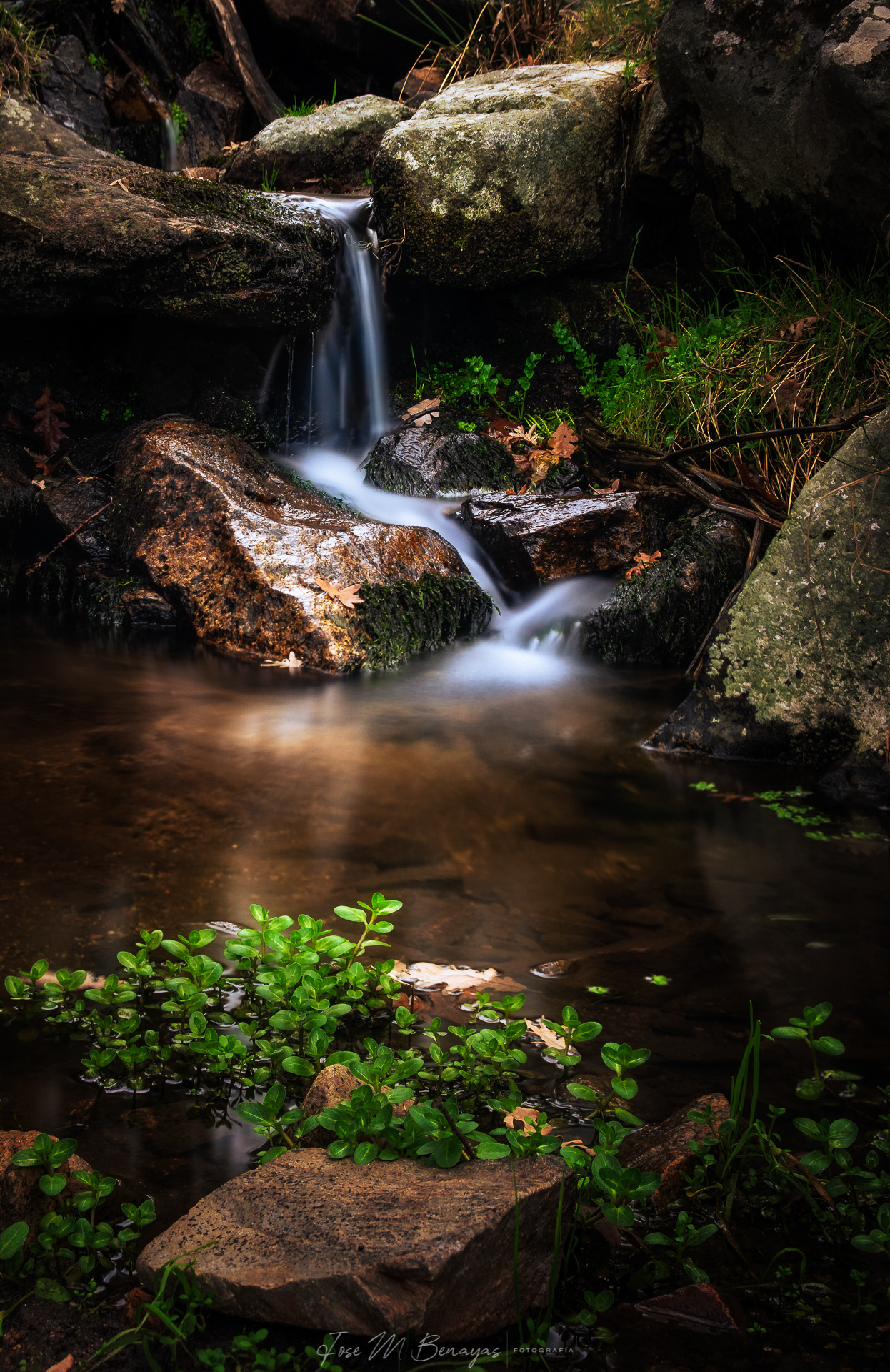 Nº11 :Pequeña cascada. 300ppp. Toma única