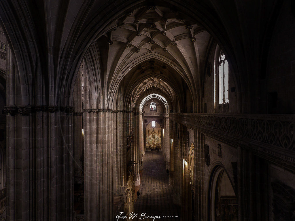 Interior catedral de Salamanca