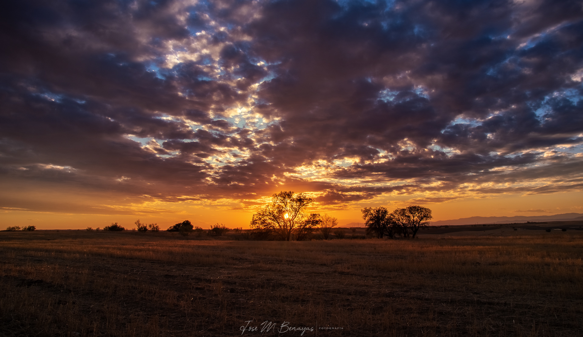 Nº6 :Atardecer dorado. 300ppp.Toma única