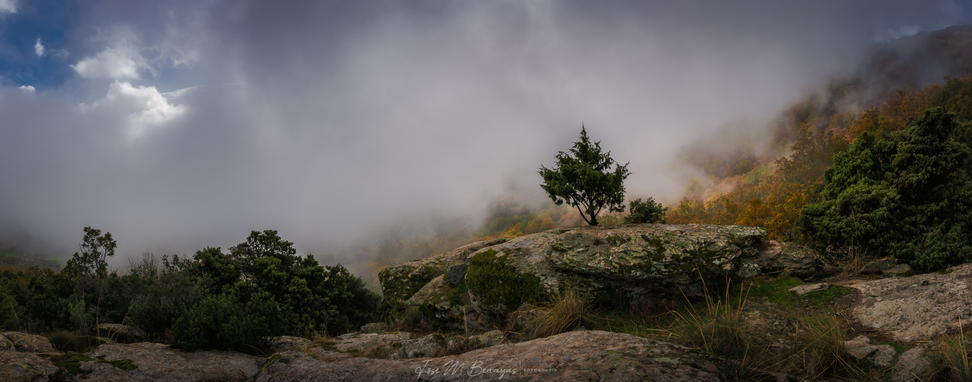 Otoño en el Piélago