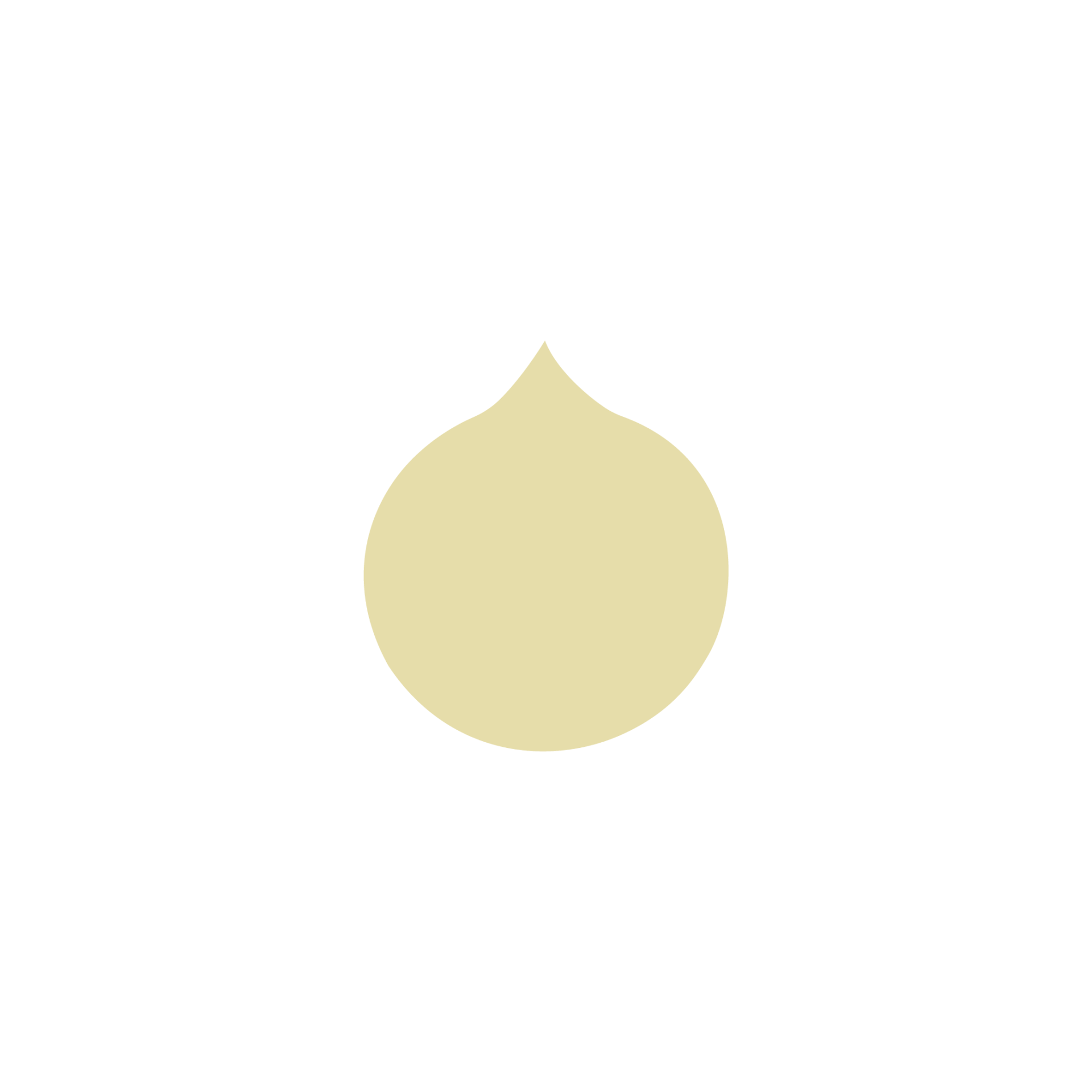 Logo animation