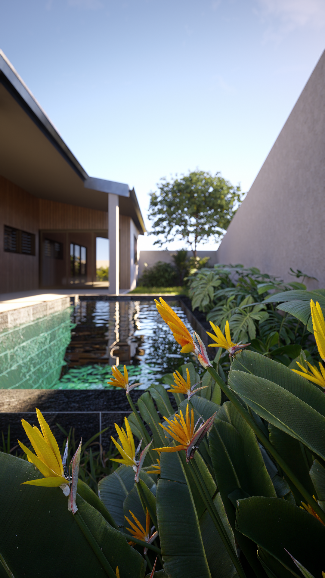 Villa CAD - Saint Pierre