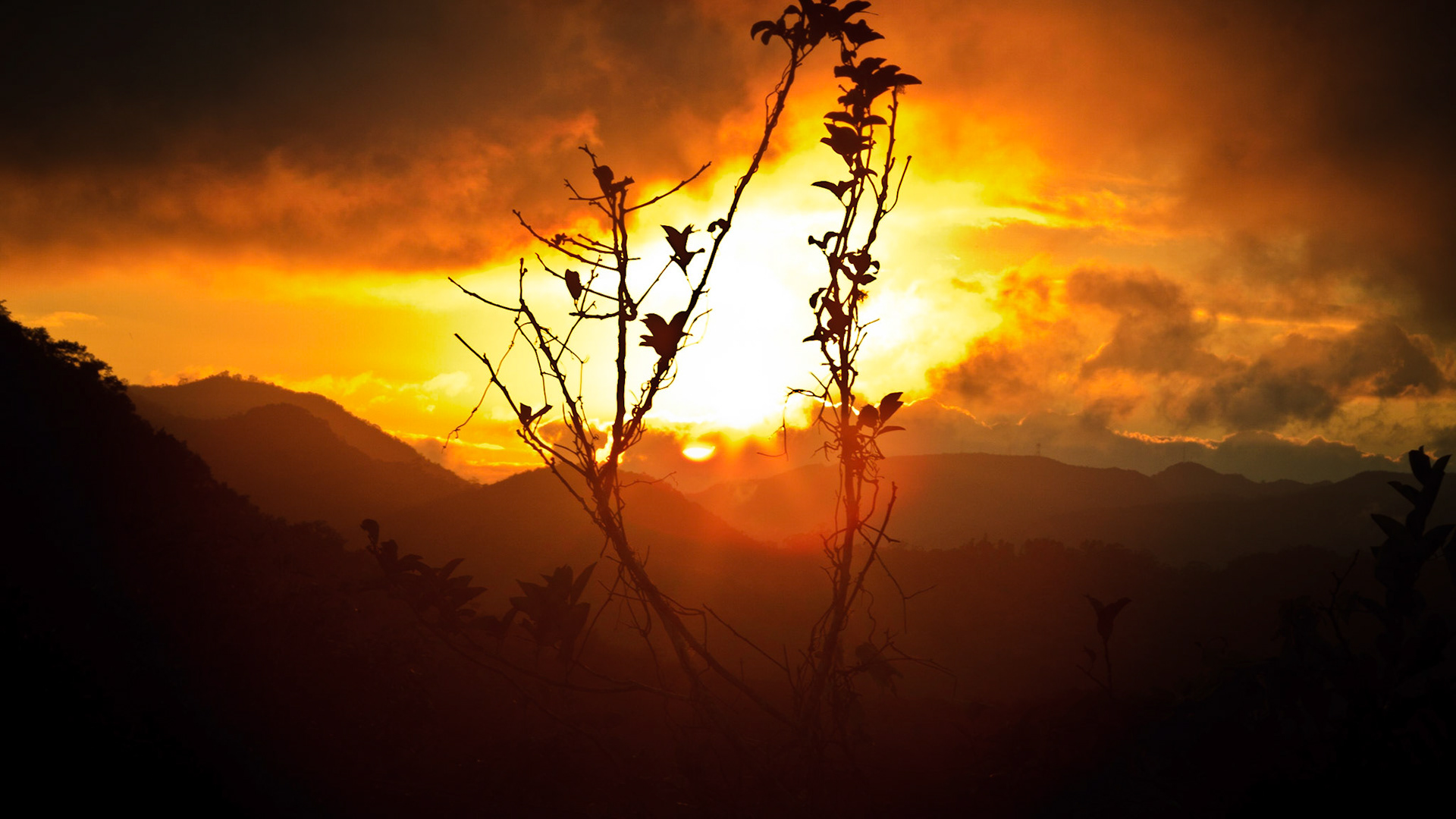 Atardecer en la cordillera. Orocovis, Puerto Rico.