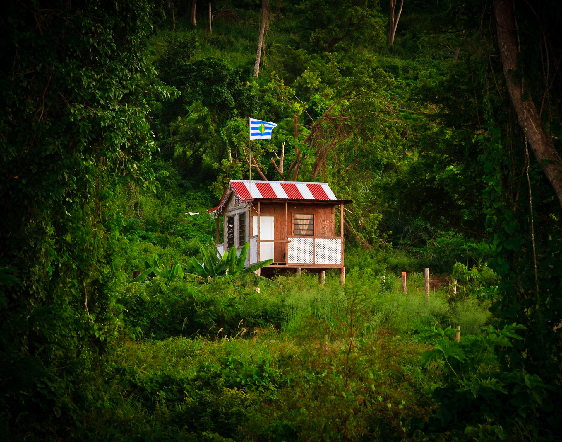 Casa de madera en el campo. Vieques, Puerto Rico.