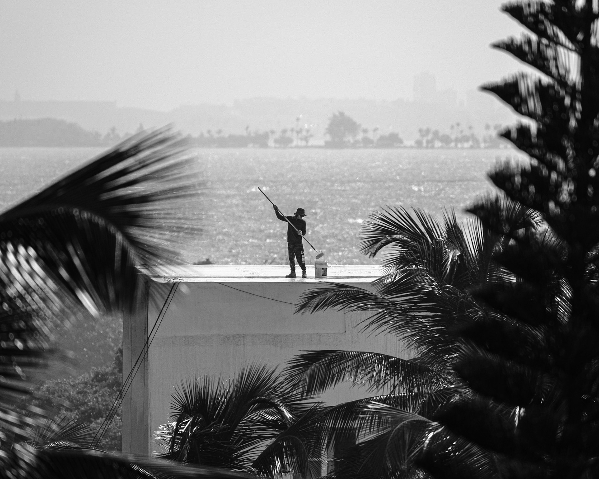 Vista de lejos de una persona parada en el techo de un edificio frente a la costa, metiendo un rolo de pintar en un cubo. Dorado, PR.