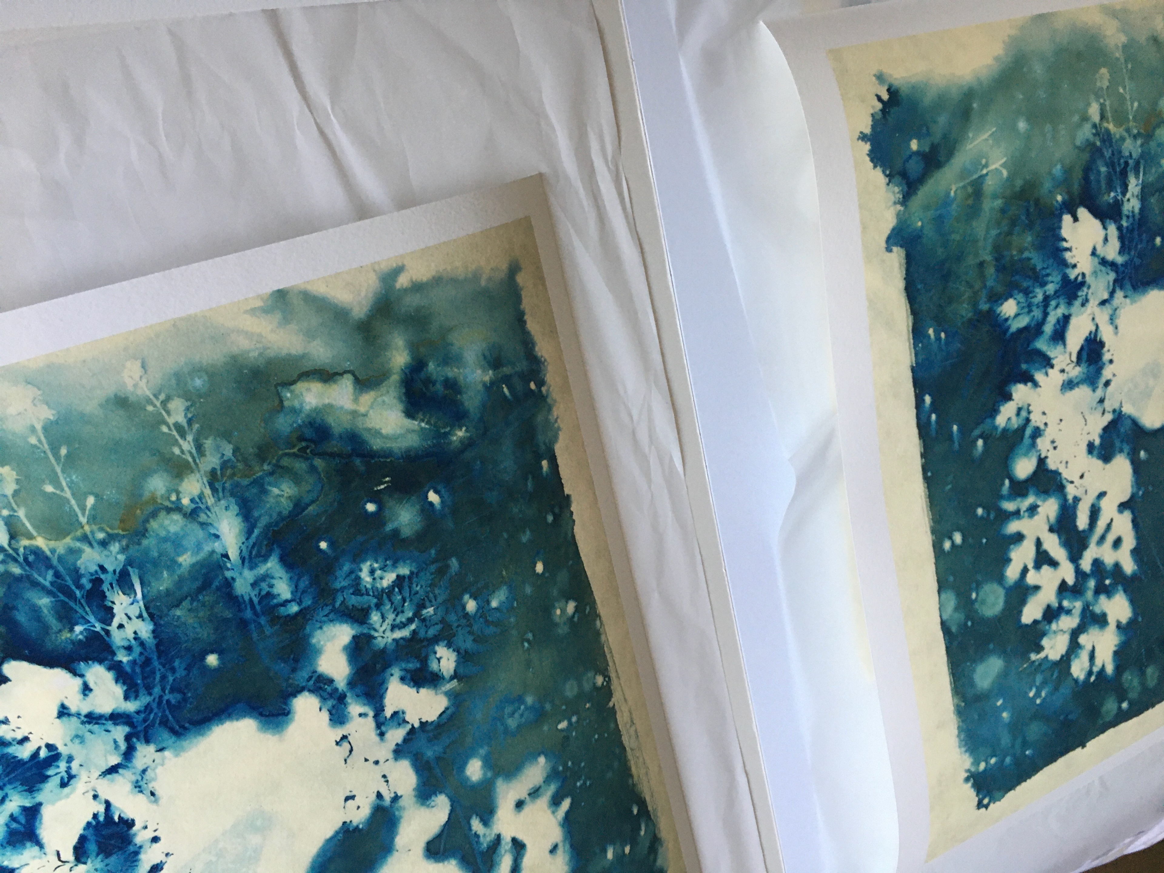 Digital Print reproduction