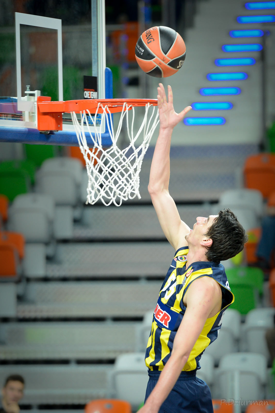 PGE Turów Zgorzelec - Fenerbache Ulker Stambul