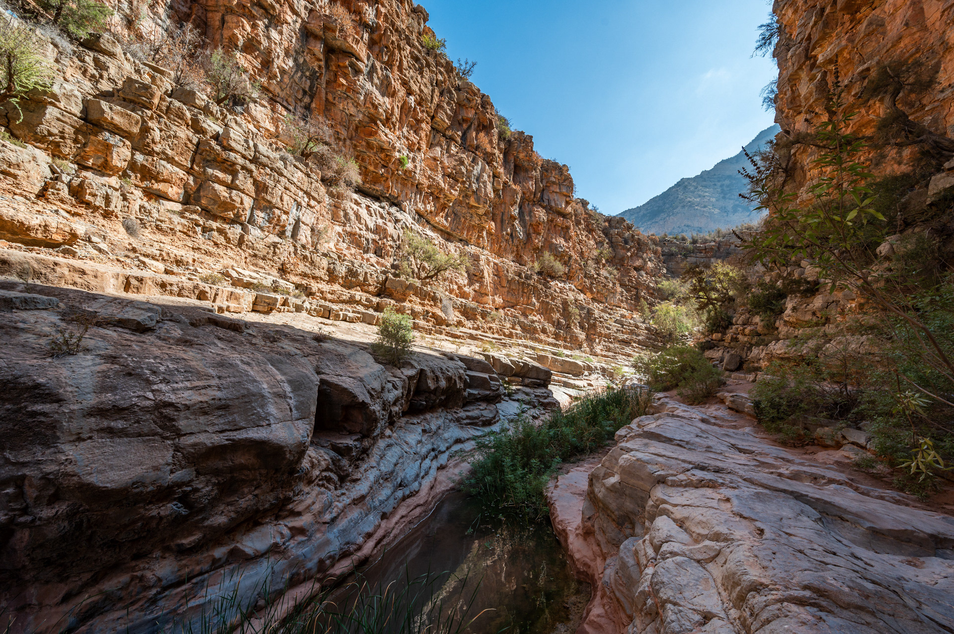 Paradise Valley