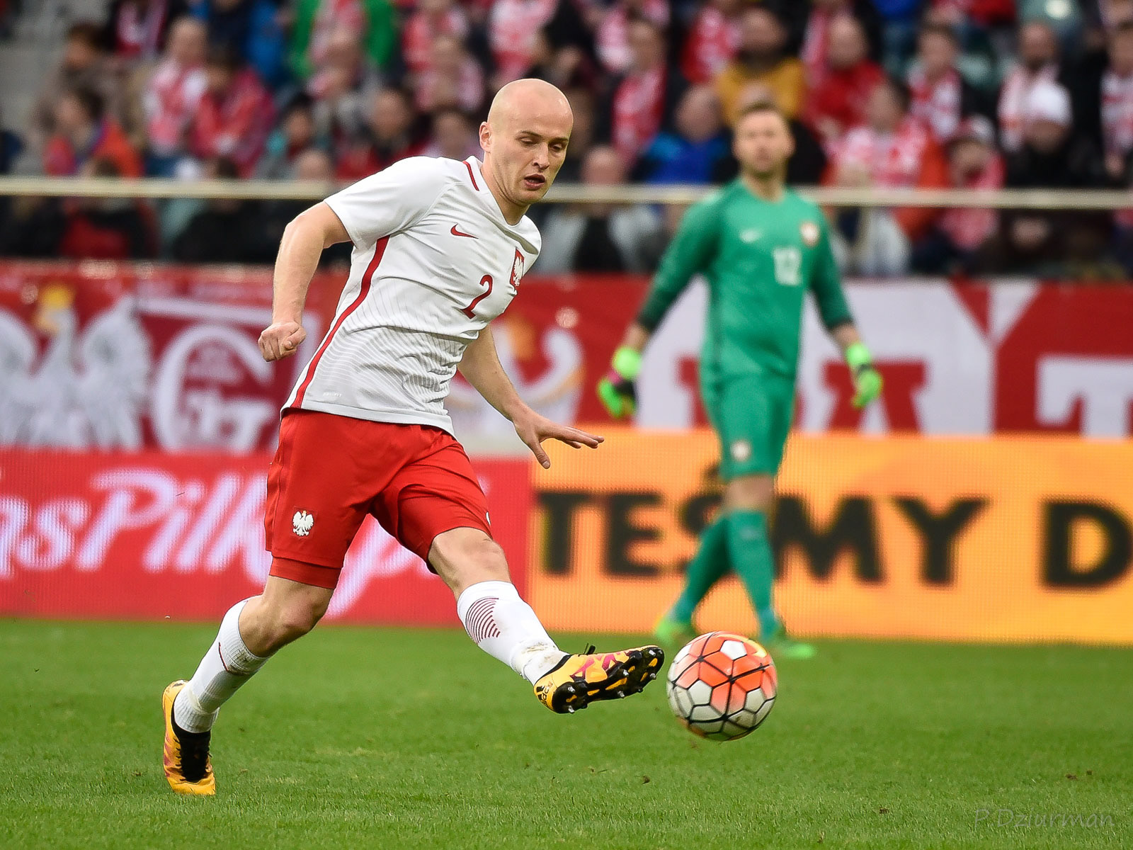 Polska vs Finlandia 2016