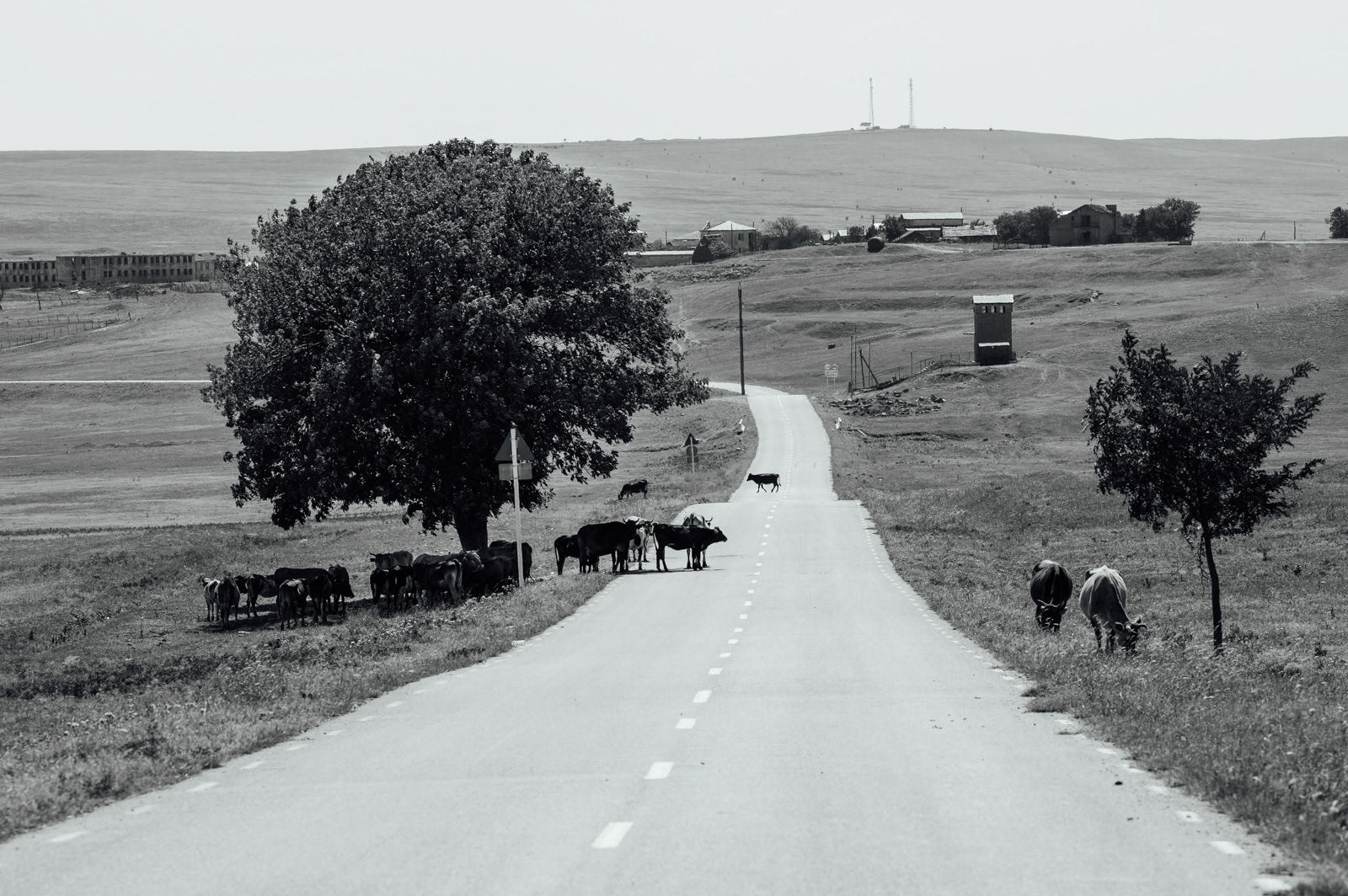 Kuszetia