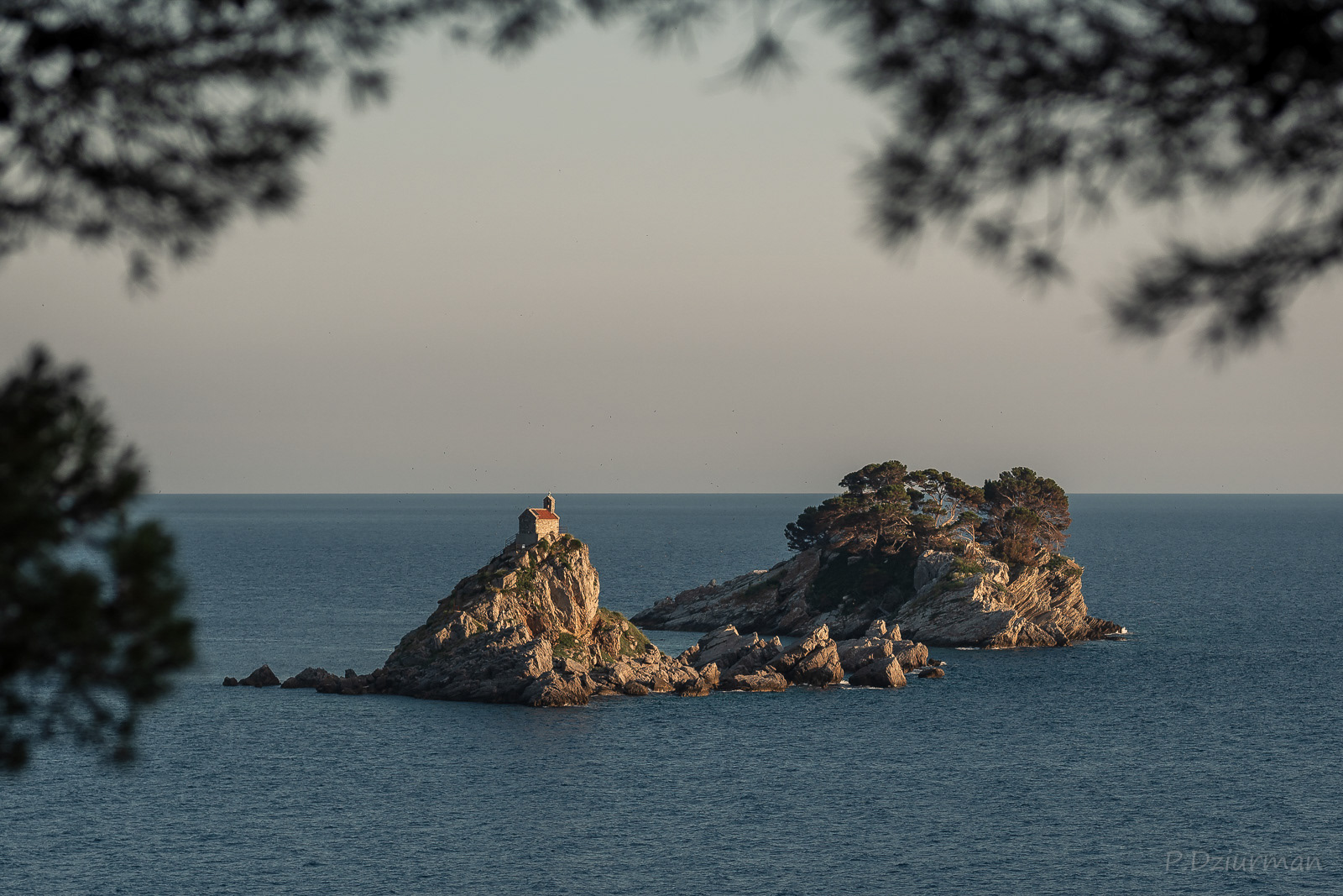 Petrovac