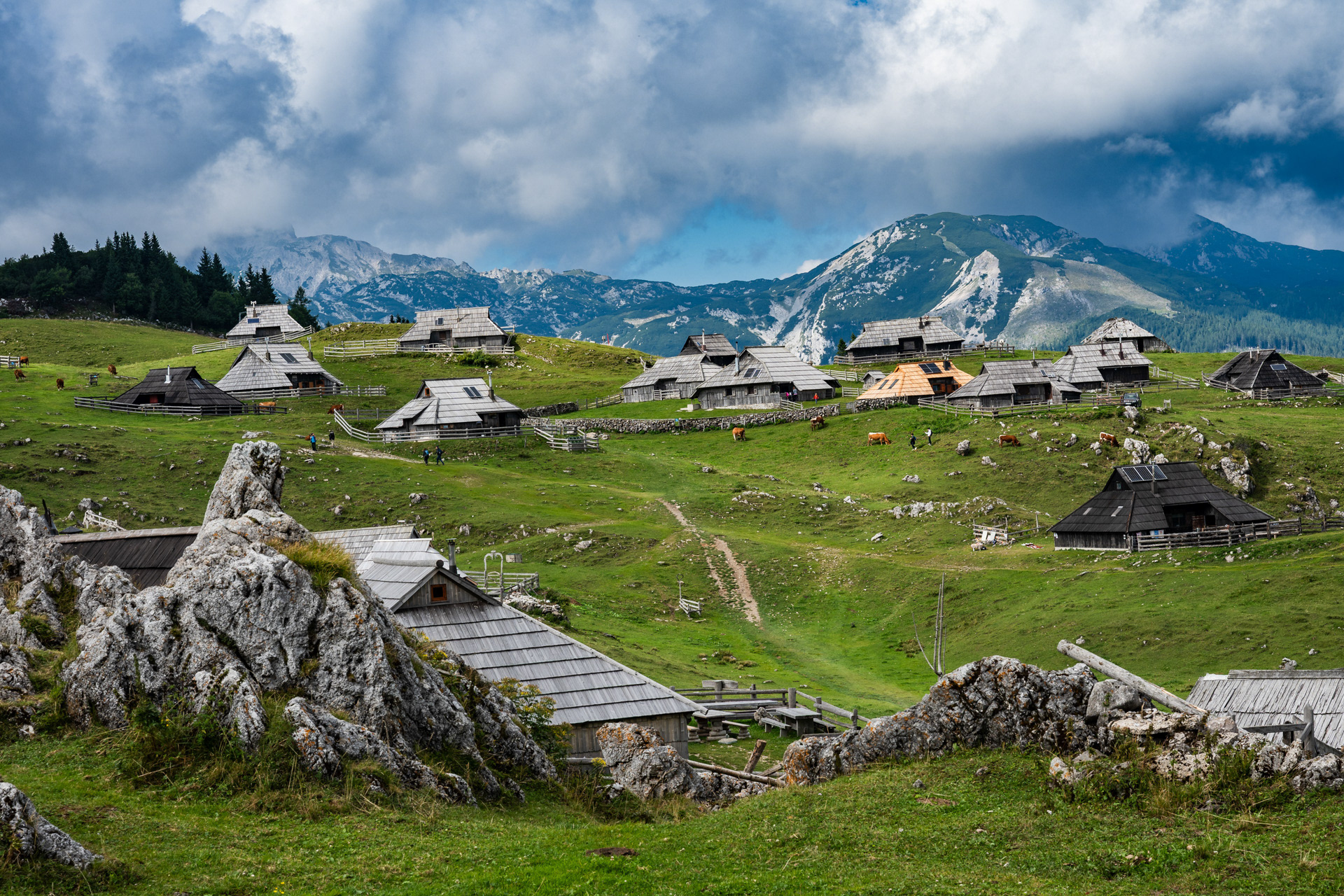 Velika Planina