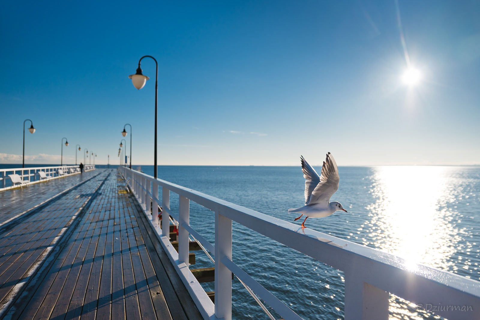Gdynia Orłowo