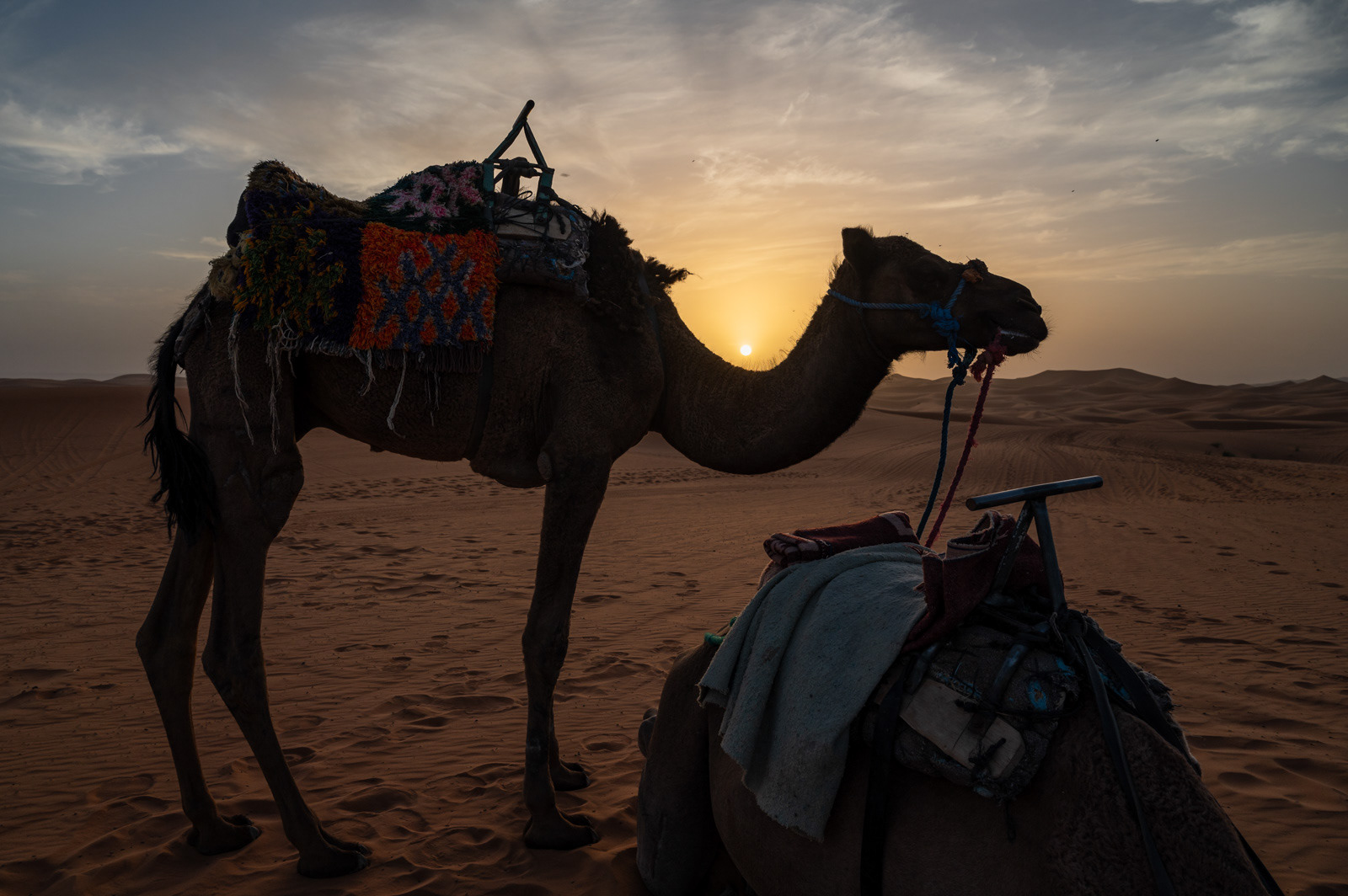 Sahara