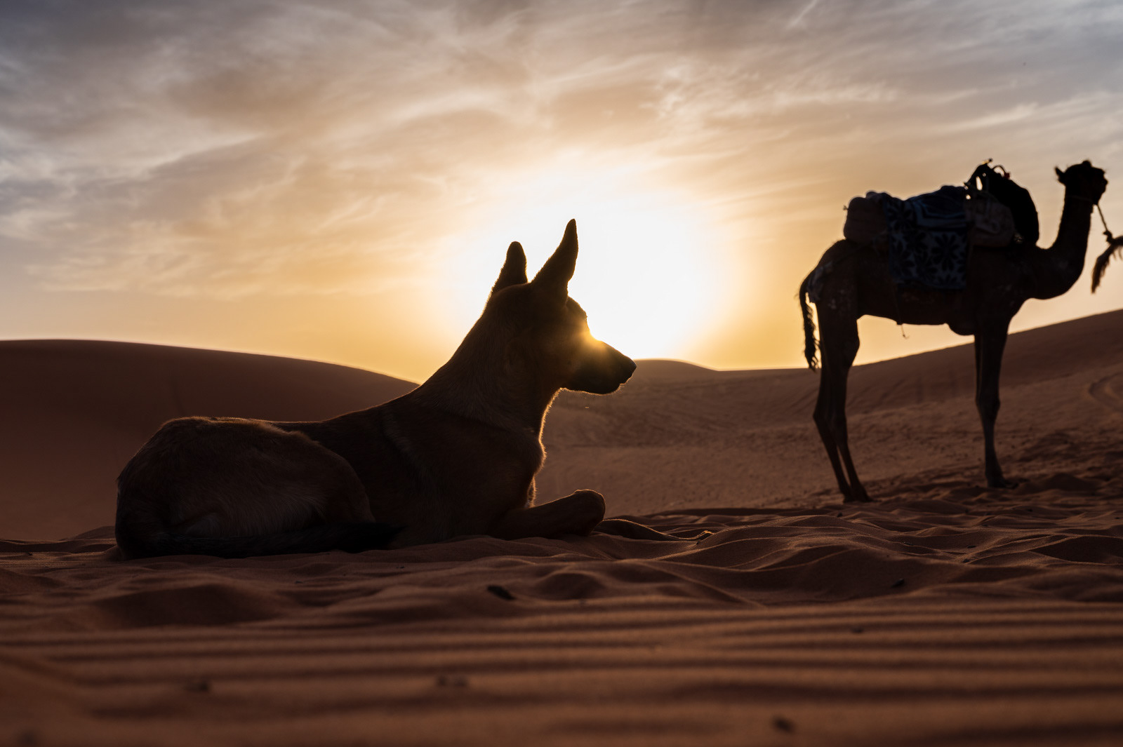 Sahara