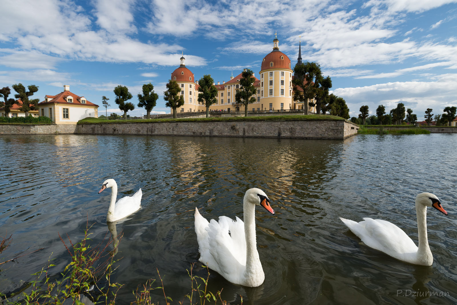 Zamek Moritzburg 