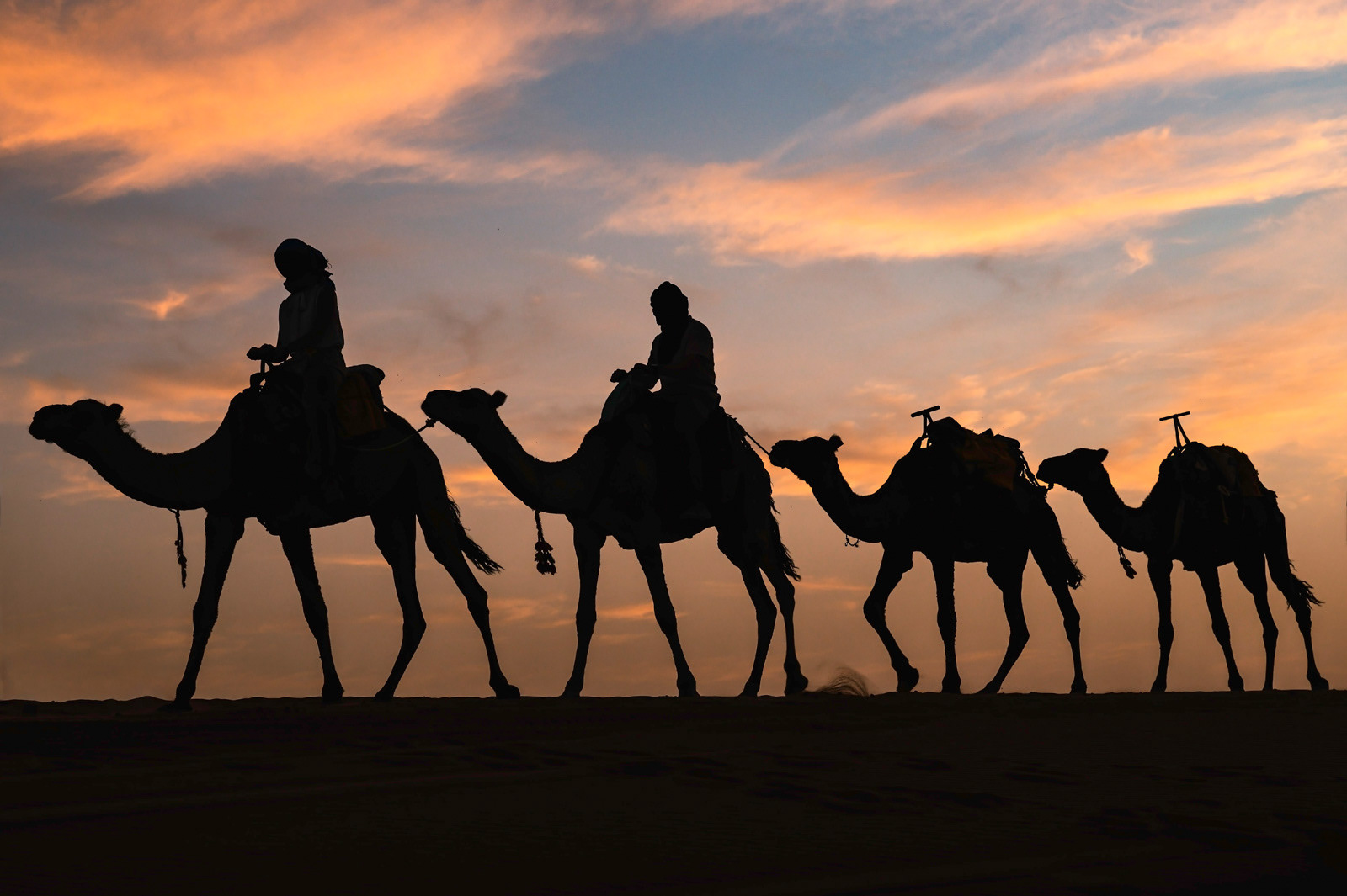 Sahara