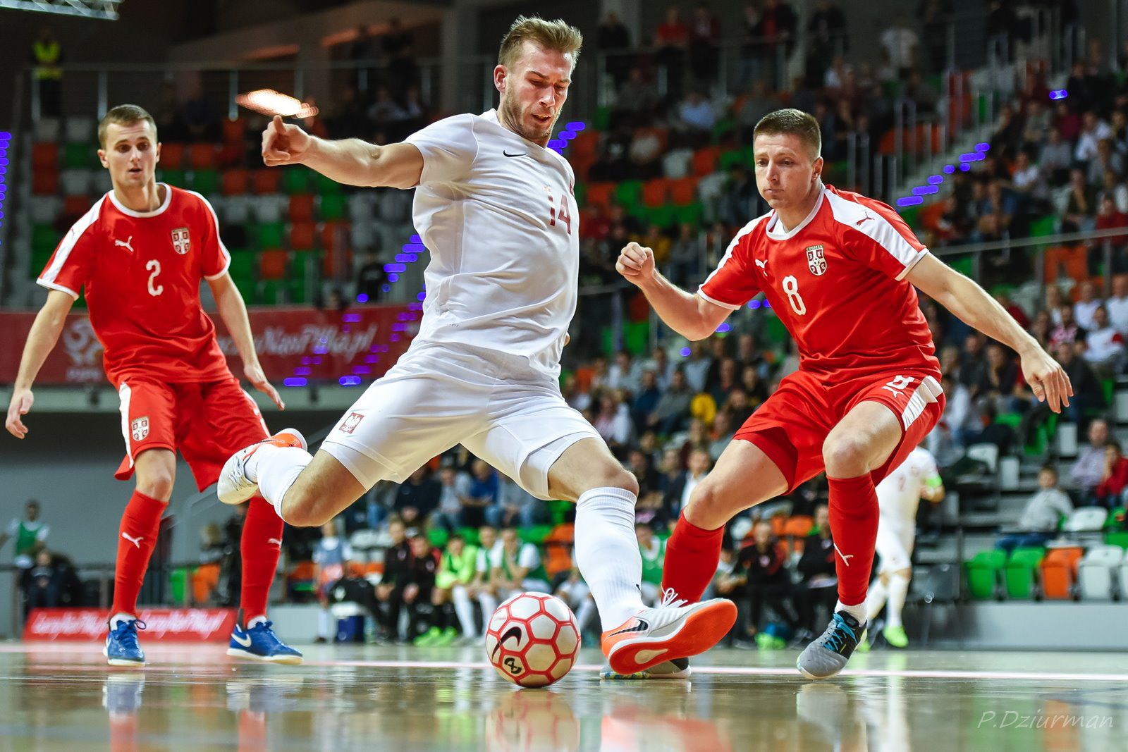 Futsal Polska - Serbia