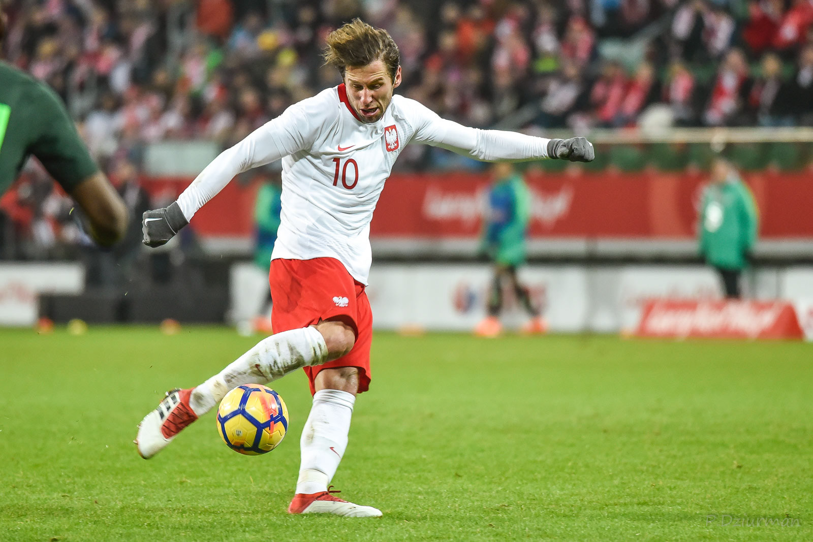 Polska - Nigeria 2018
