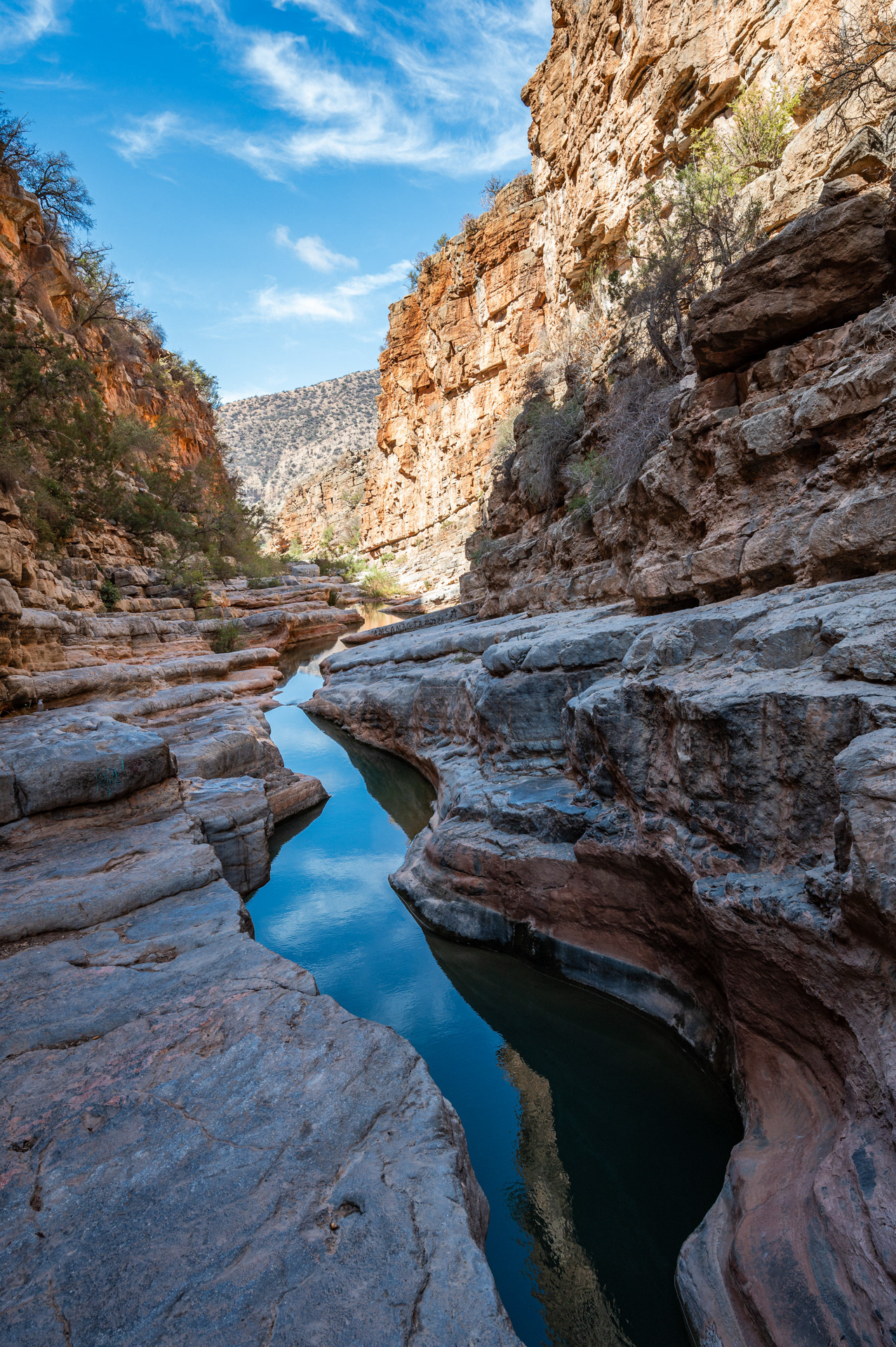 Paradise Valley