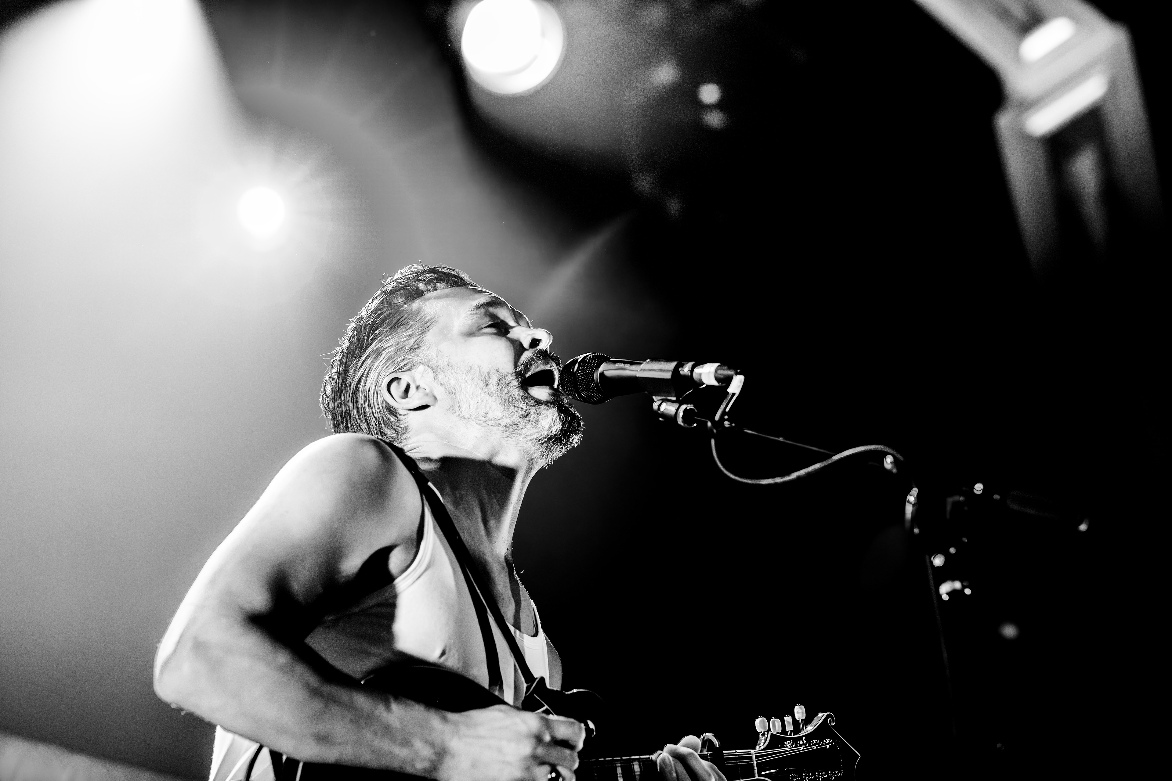 The Tallest Man on Earth