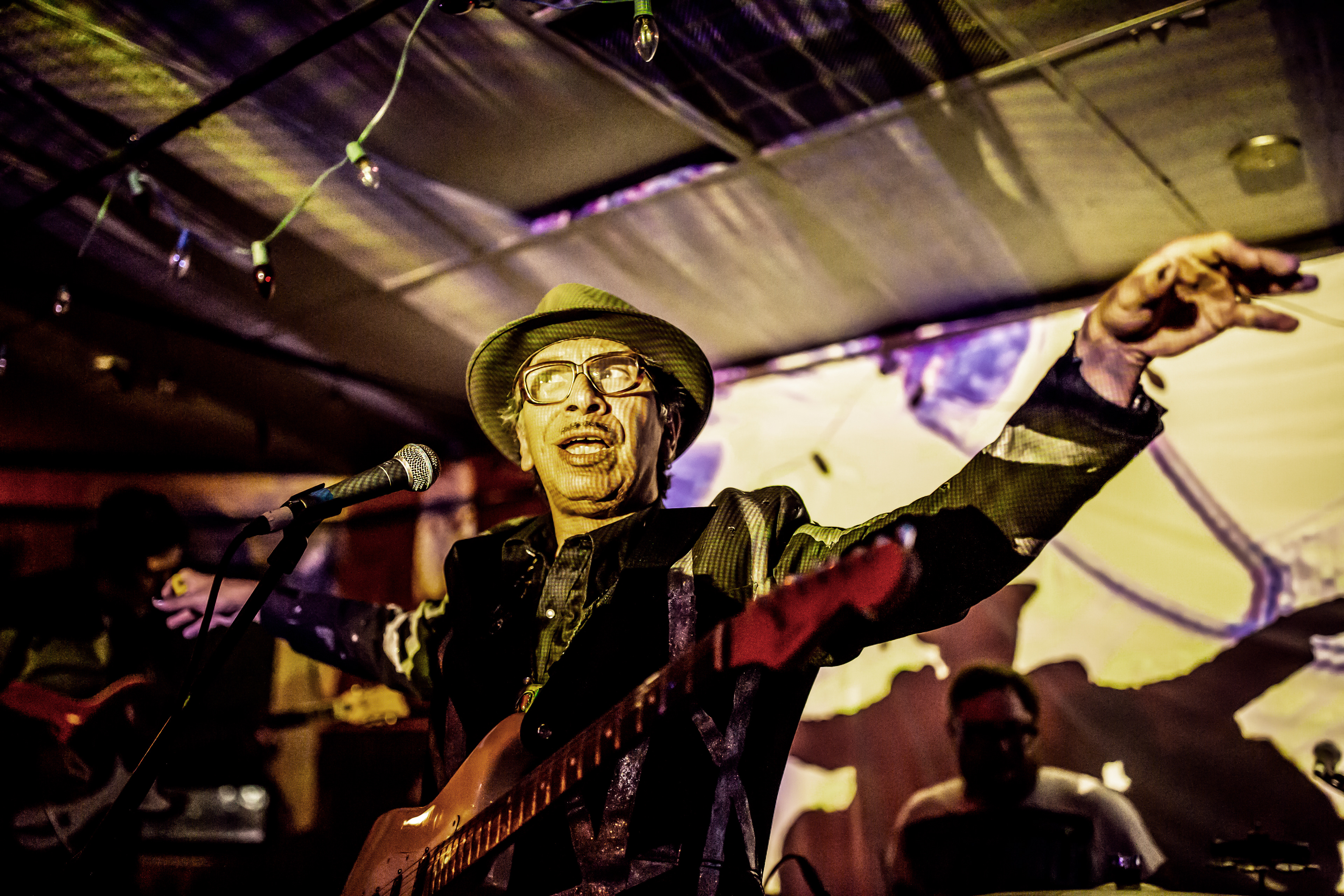 Kid Congo Powers and the Pink Monkey Birds