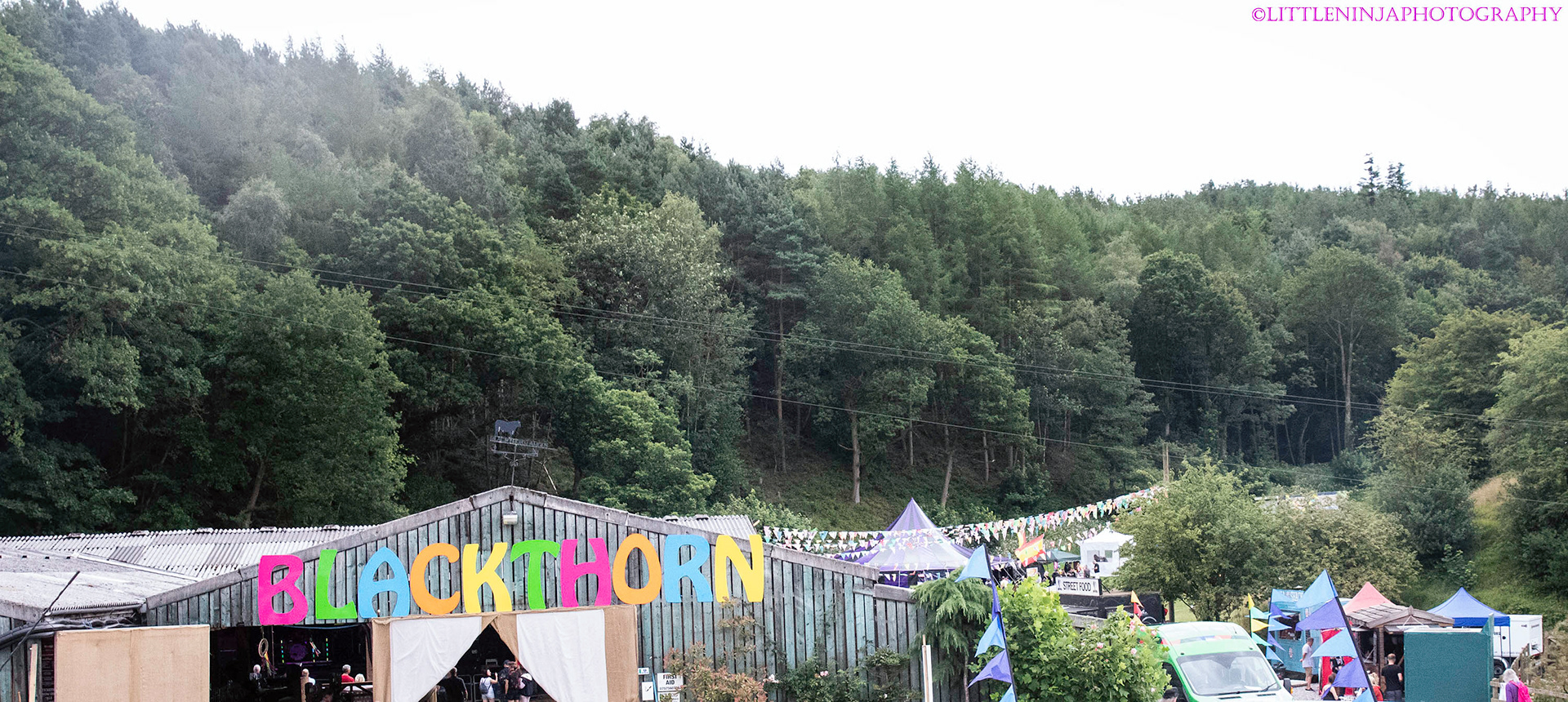 FESTIVAL