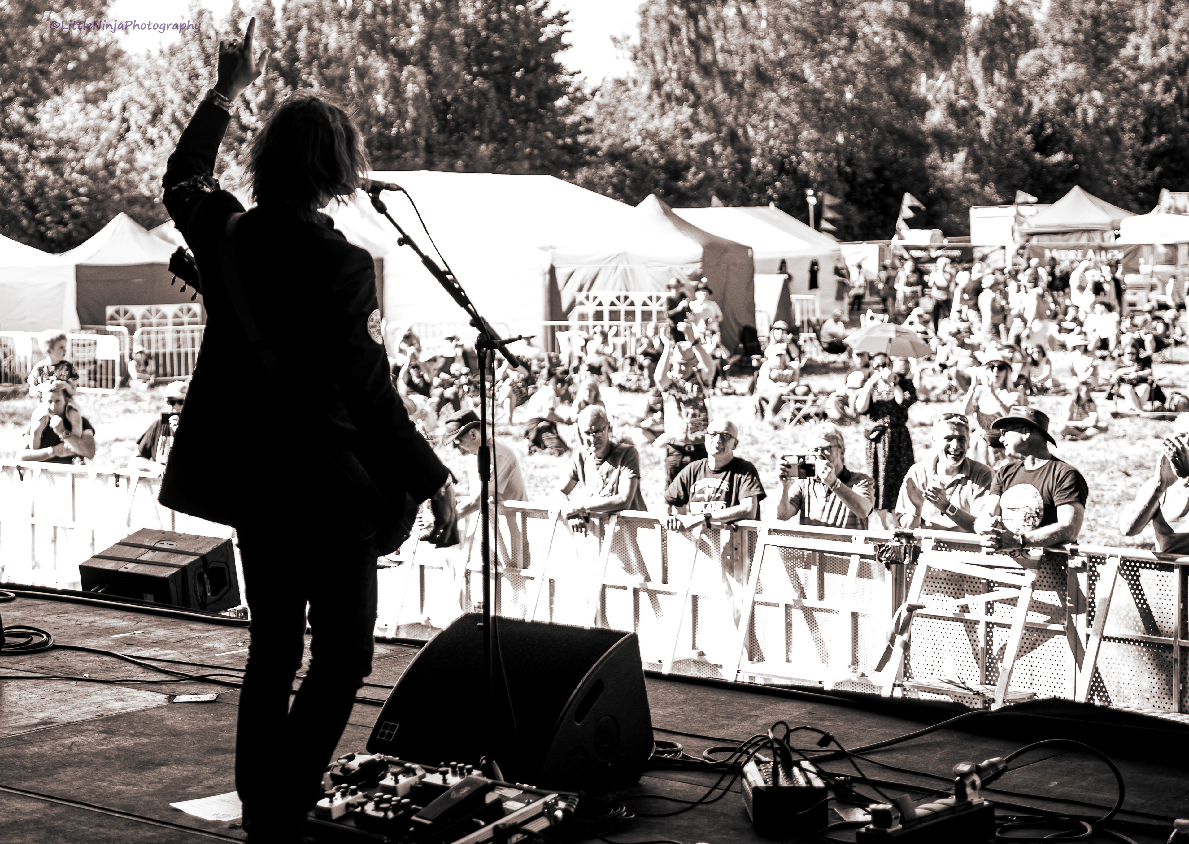 FESTIVAL STAGE SHOT
